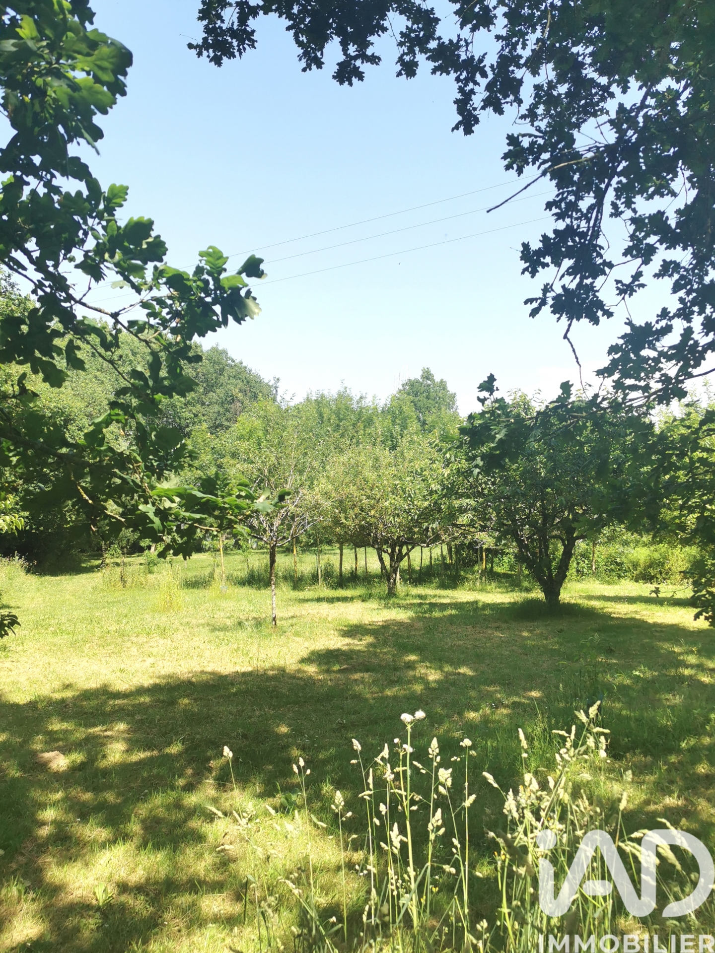 Vente Terrain 11 271 m²
