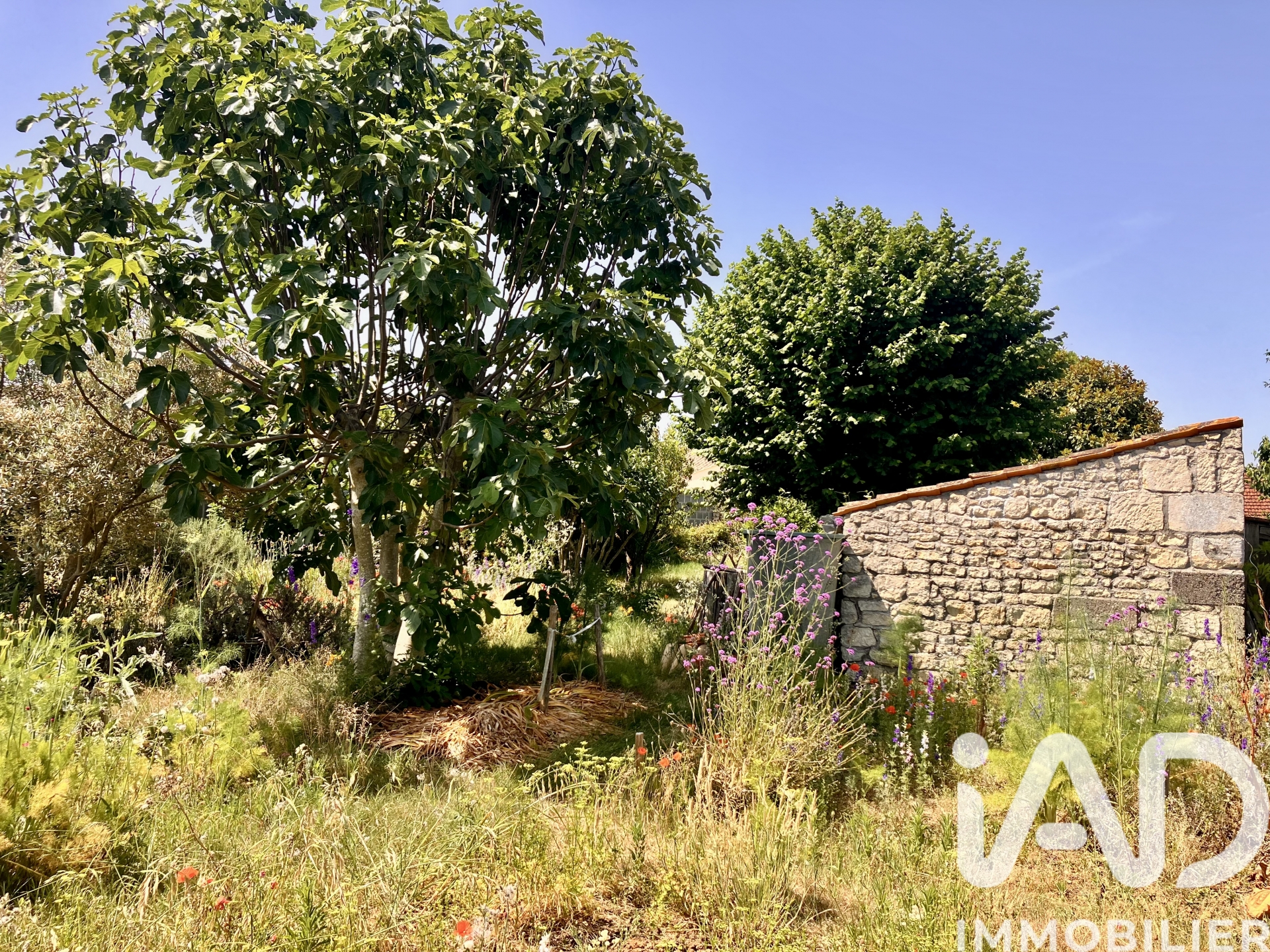 Vente maison à Luçon (85400) : maison 7 pièces 196 m² — 21