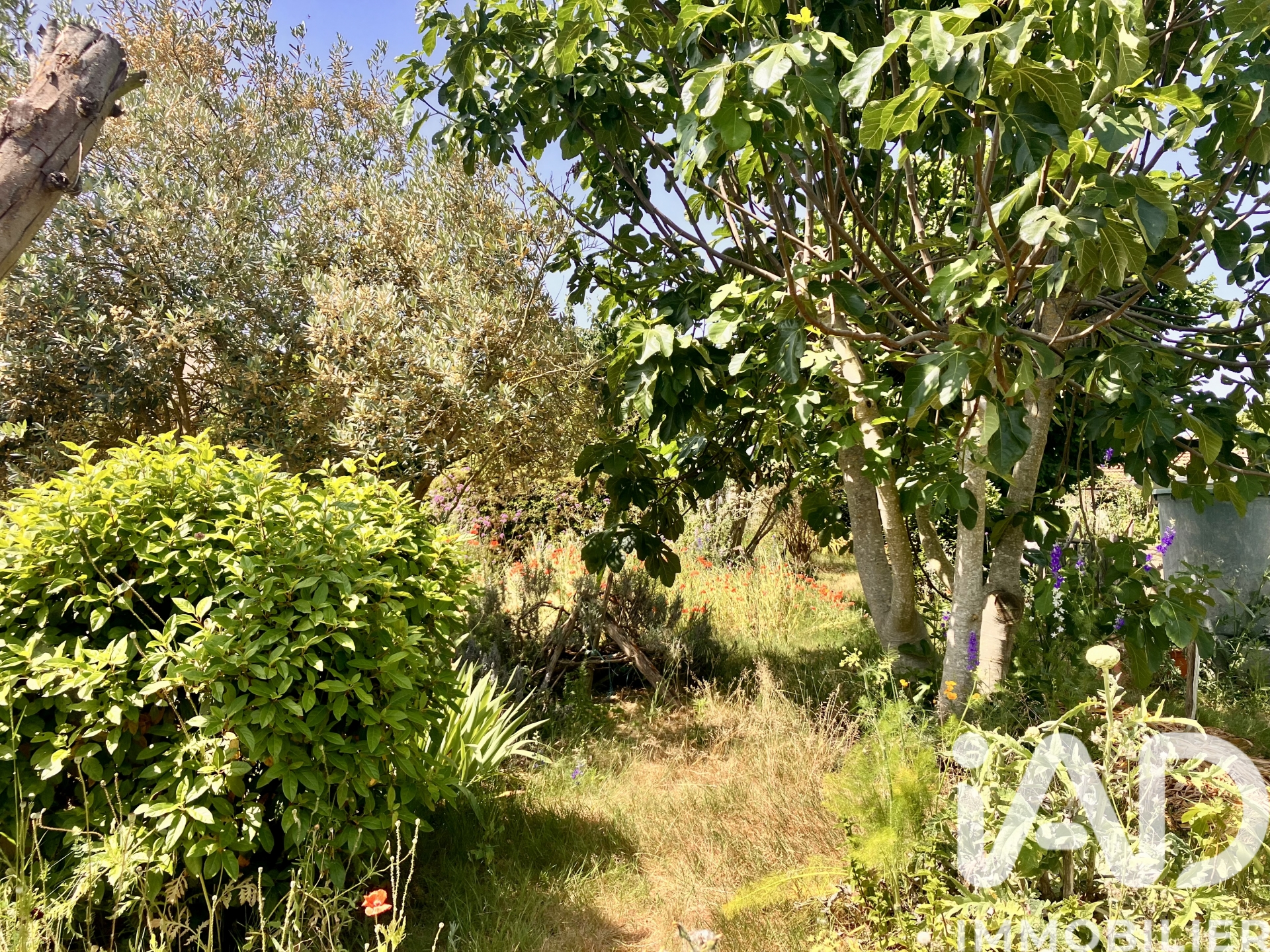Vente maison à Luçon (85400) : maison 7 pièces 196 m² — 22