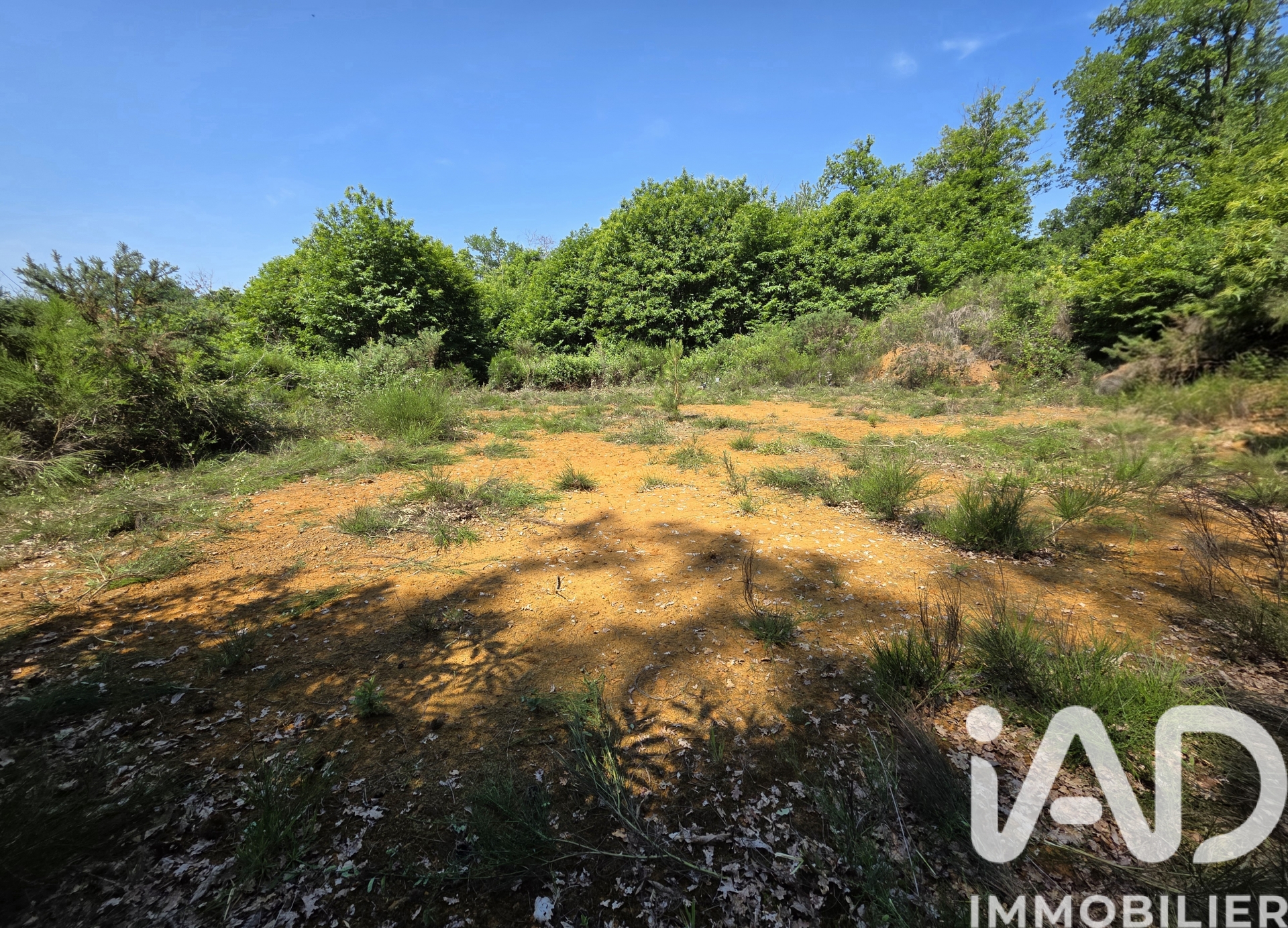 Vente Terrain à bâtir 2 313 m&sup2;