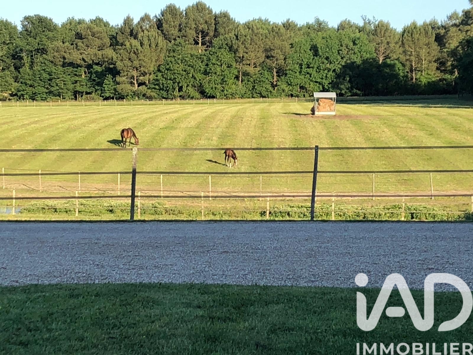 Vente Maison de campagne 12 pièces