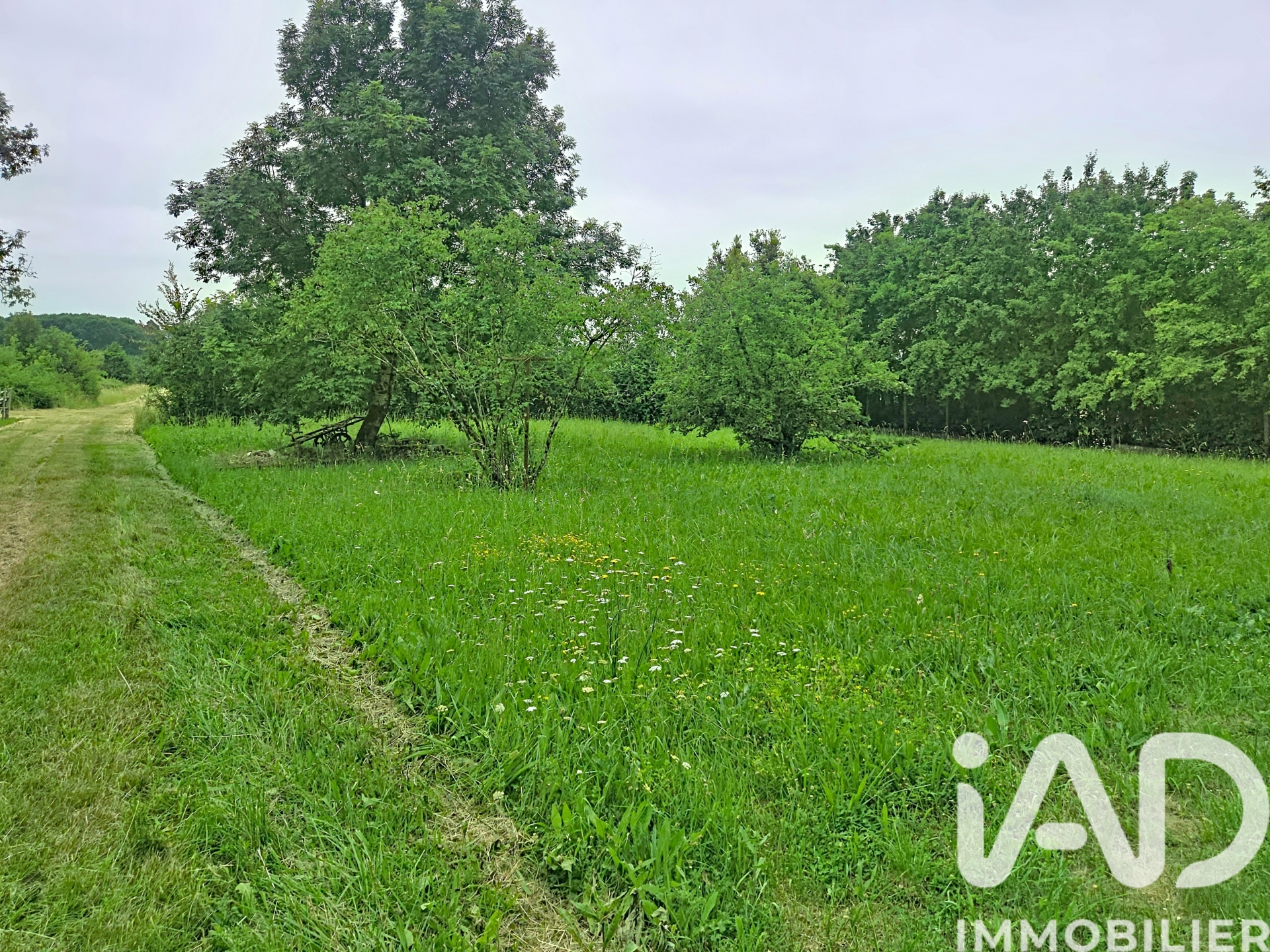 Vente Terrain 1 250 m&sup2;