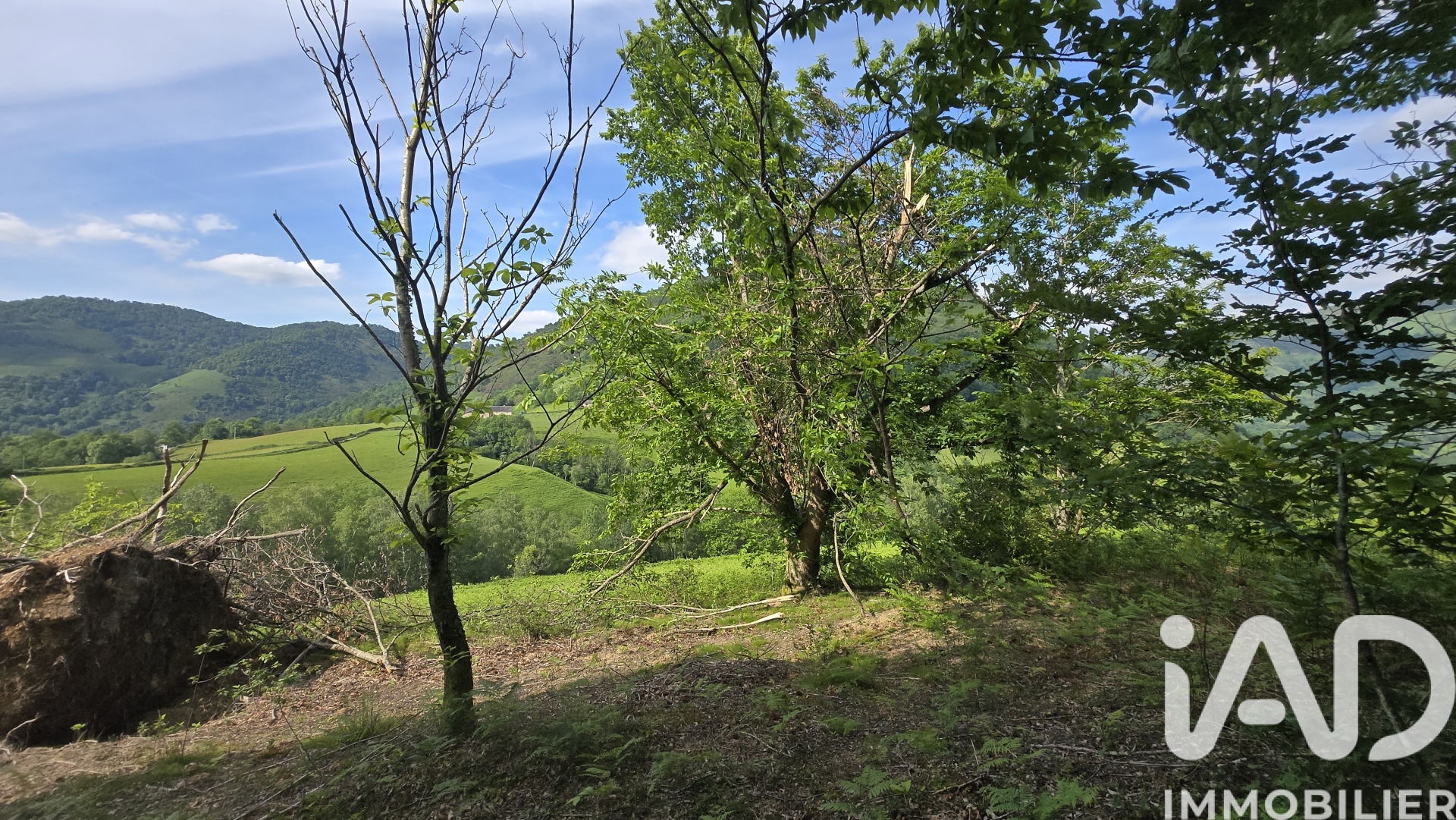 Vente Terrain agricole 10 366 m&sup2;