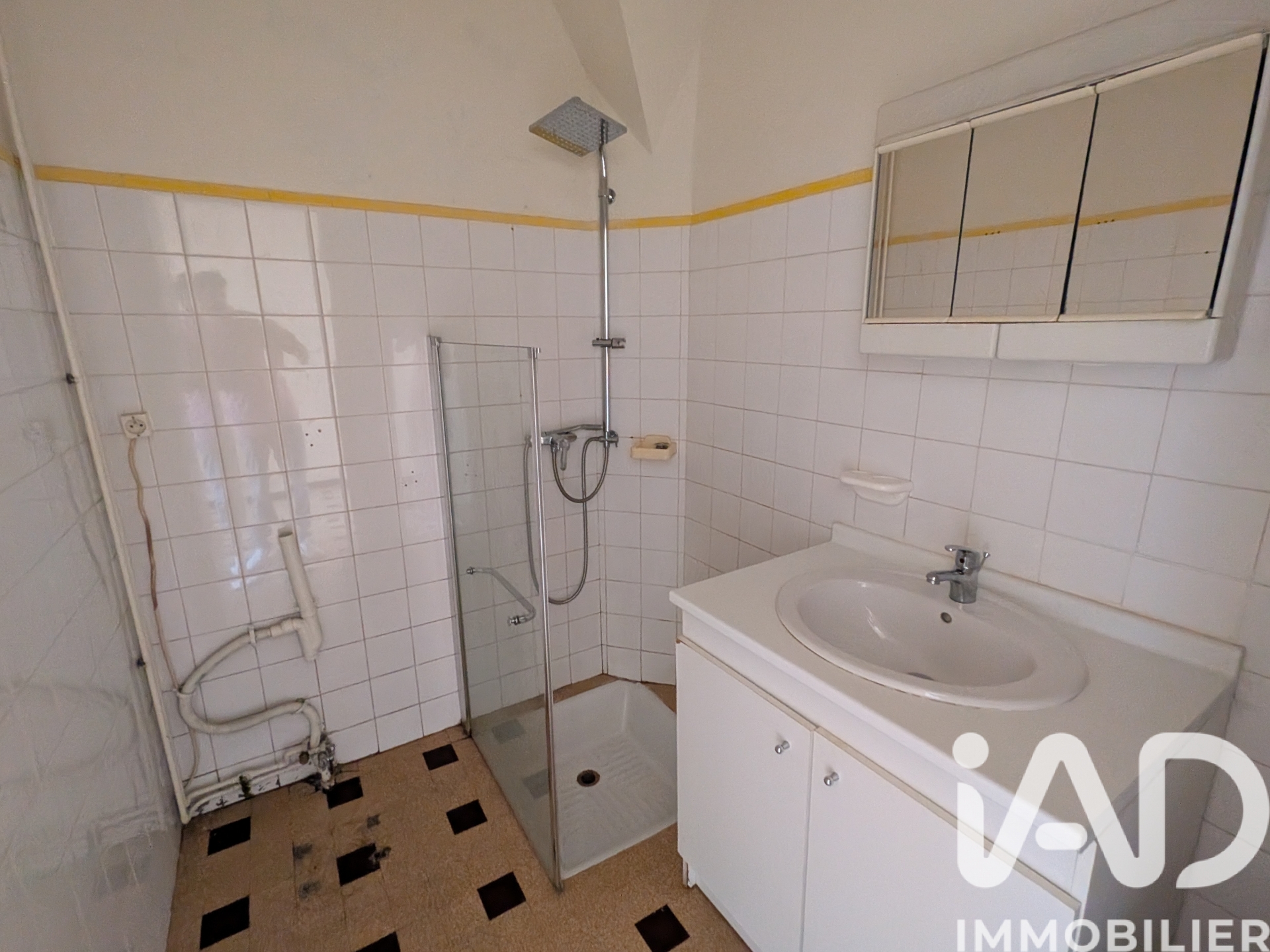 Vente immeuble 250 m² à Saint-Girons (09200) - 2032393 — 10