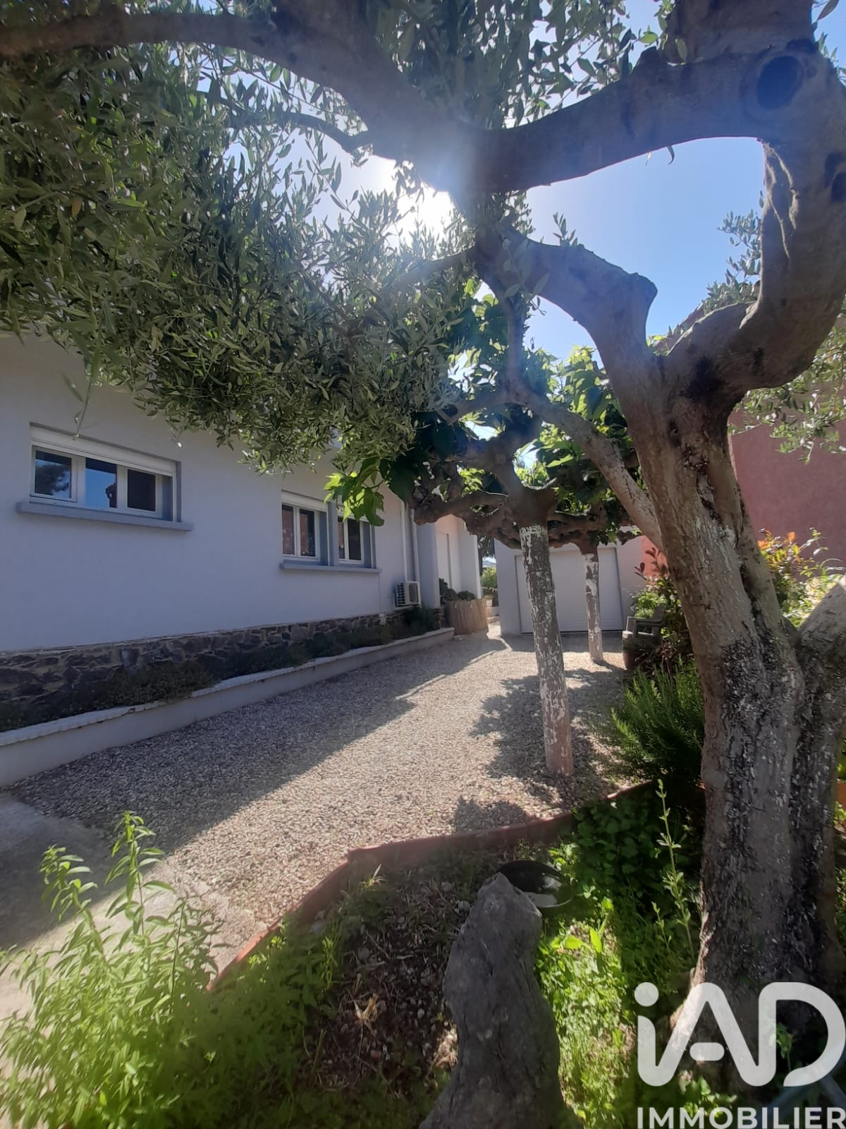 Vente maison à Collioure (66190) : maison 11 pièces 232 m² - 2100247 — 11