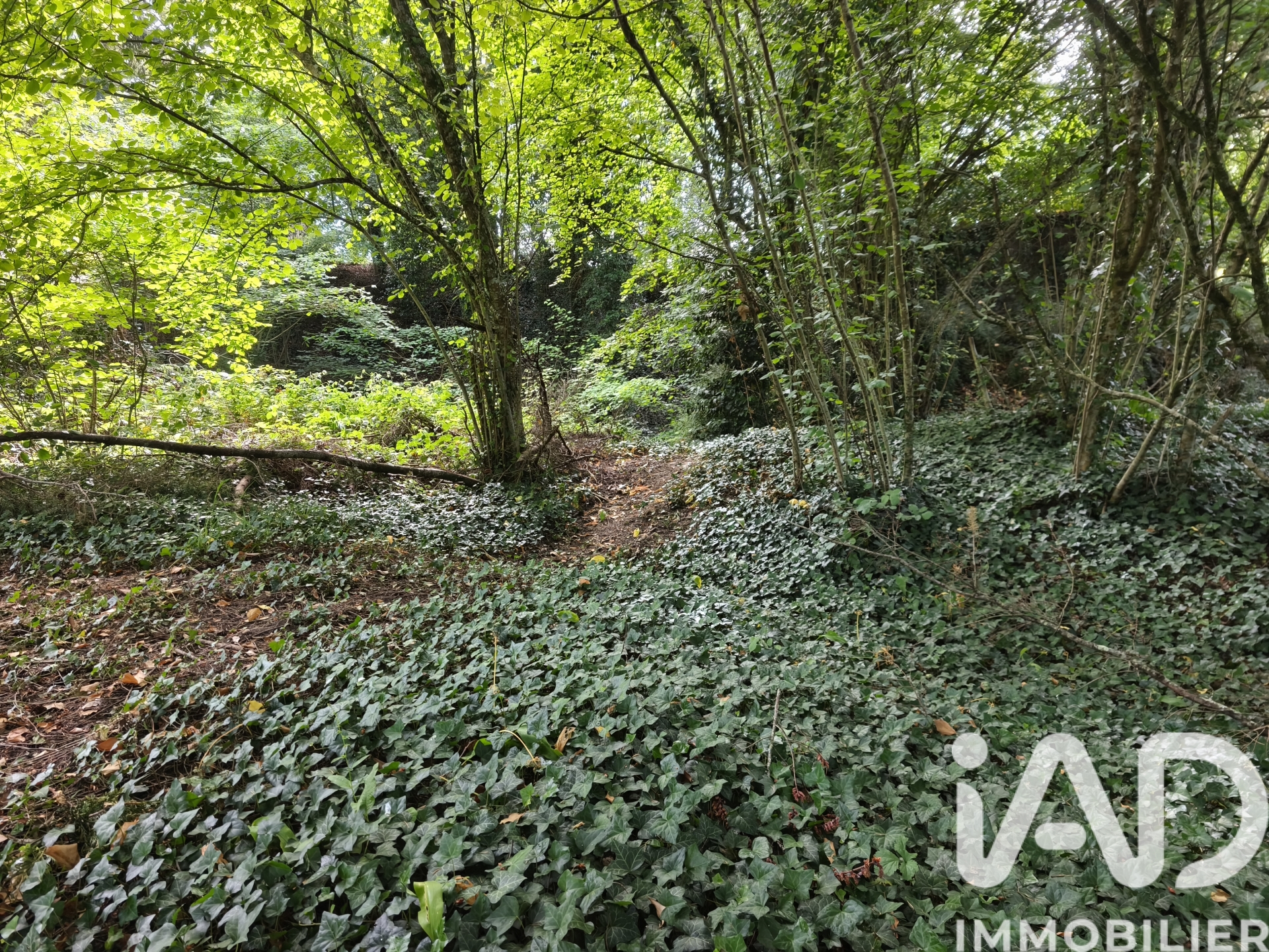 Vente Terrain à bâtir 689 m²