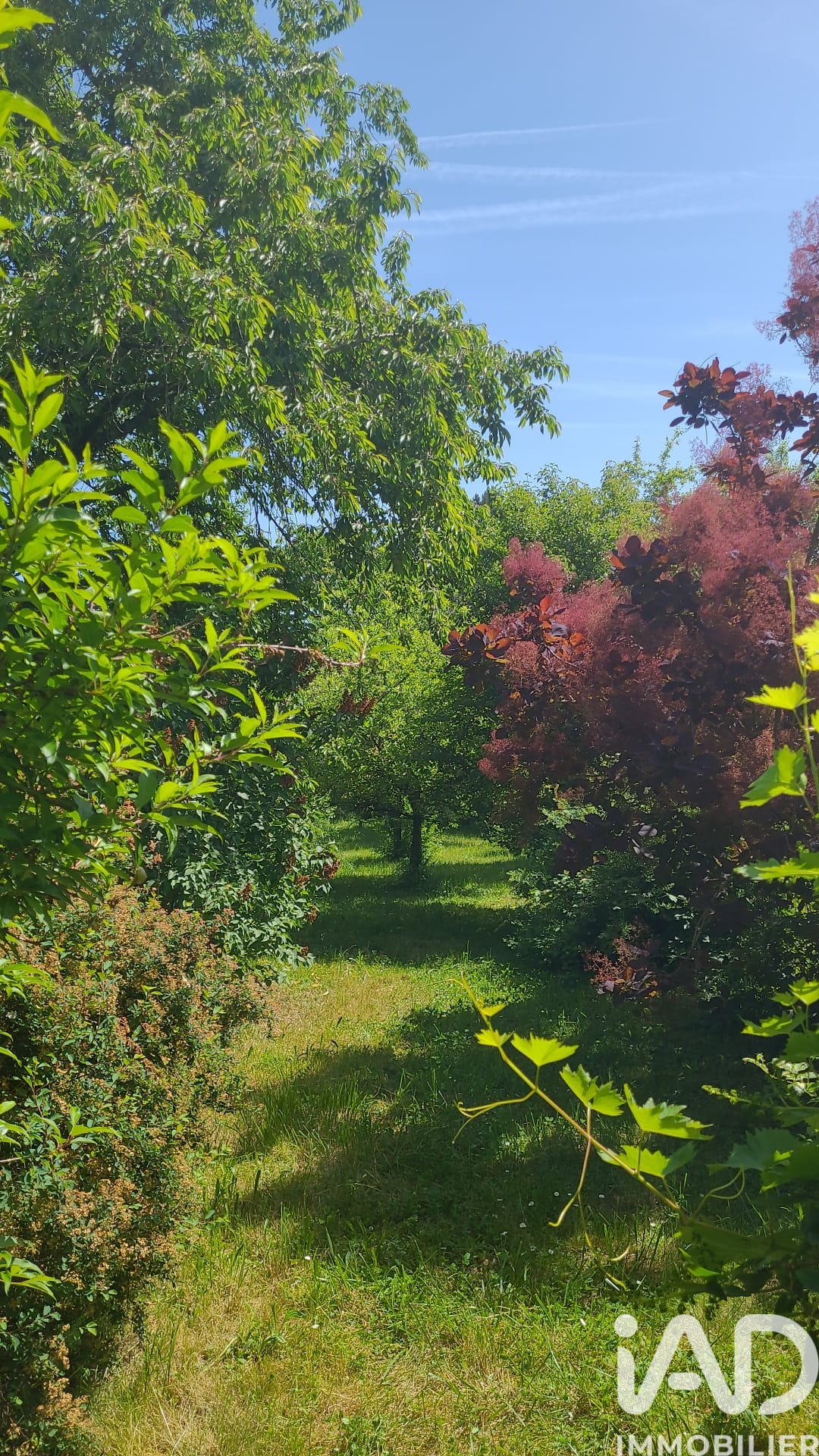 Vente Maison de ville 6 pièces