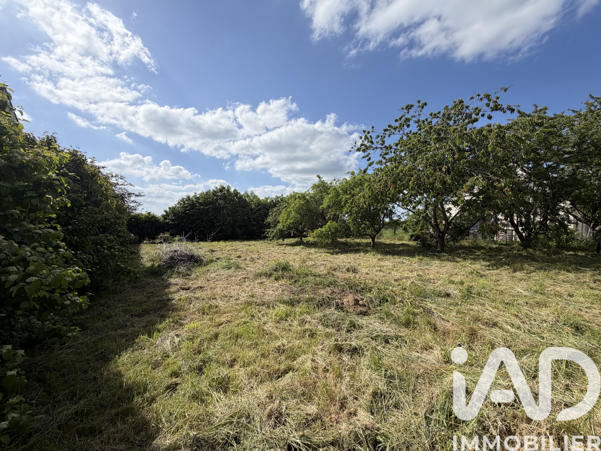 Vente Terrain 732 m²