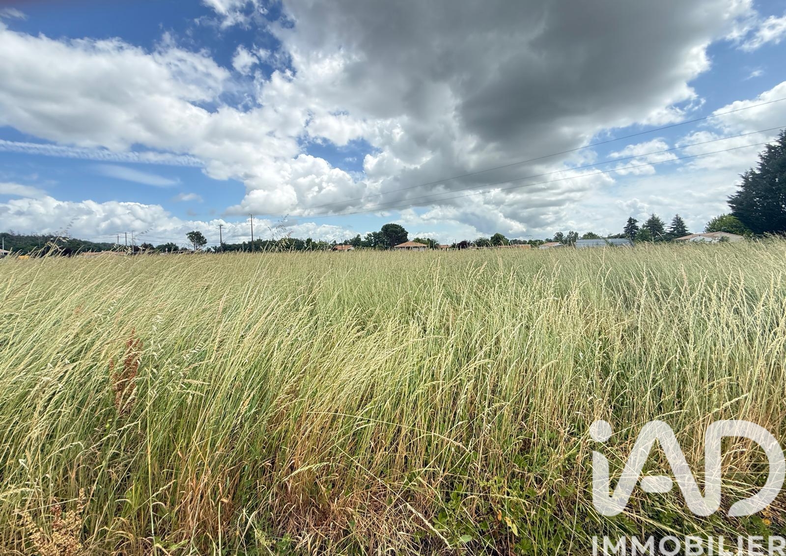 Vente Terrain 1 367 m&sup2;