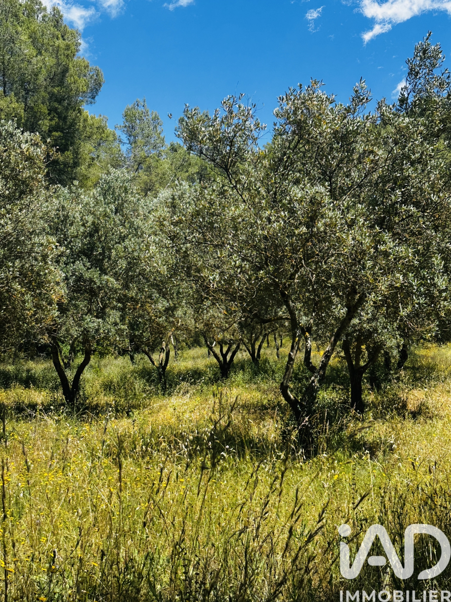 Vente Terrain agricole 22 550 m²