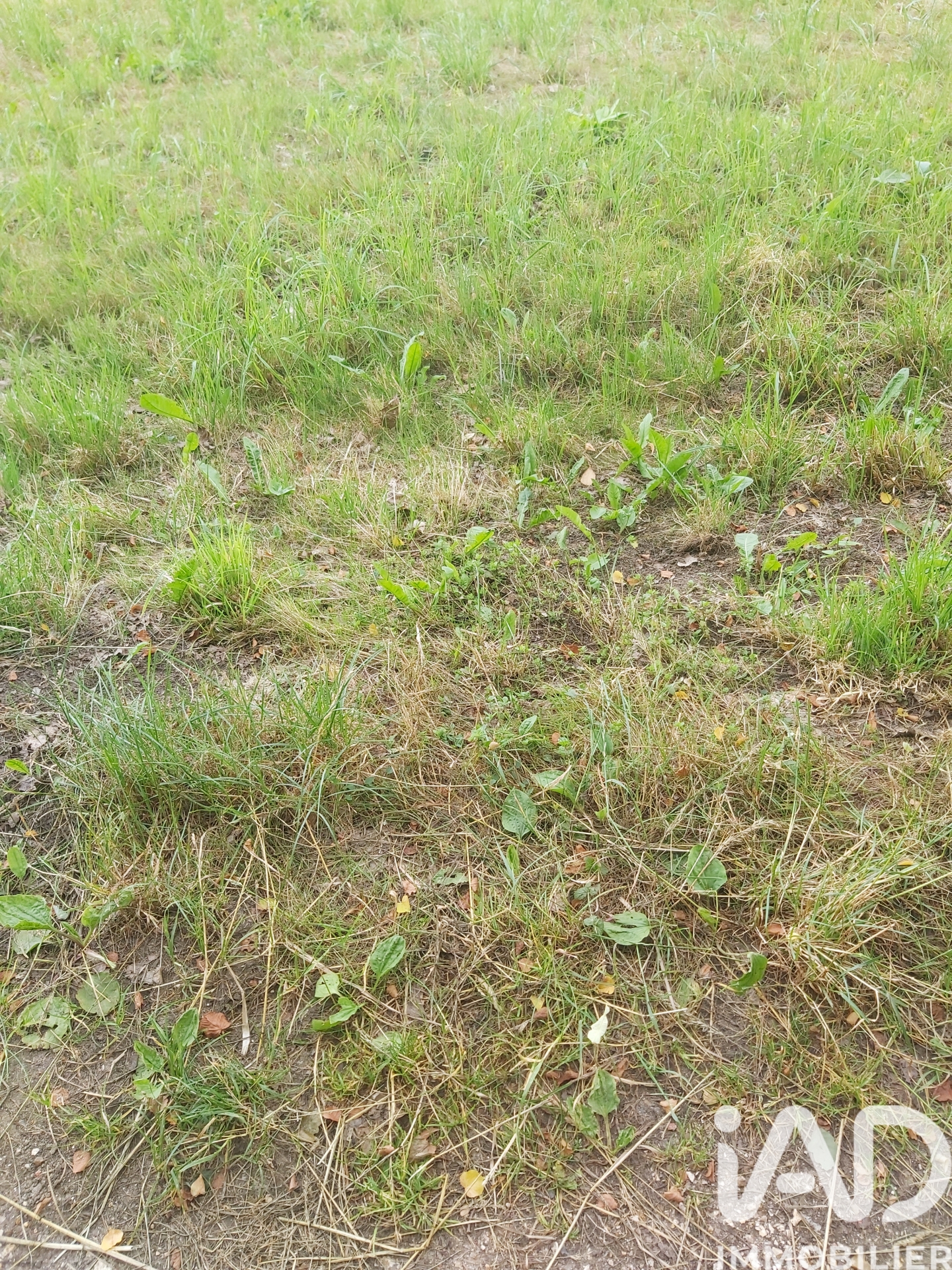 Vente Terrain 1 050 m²