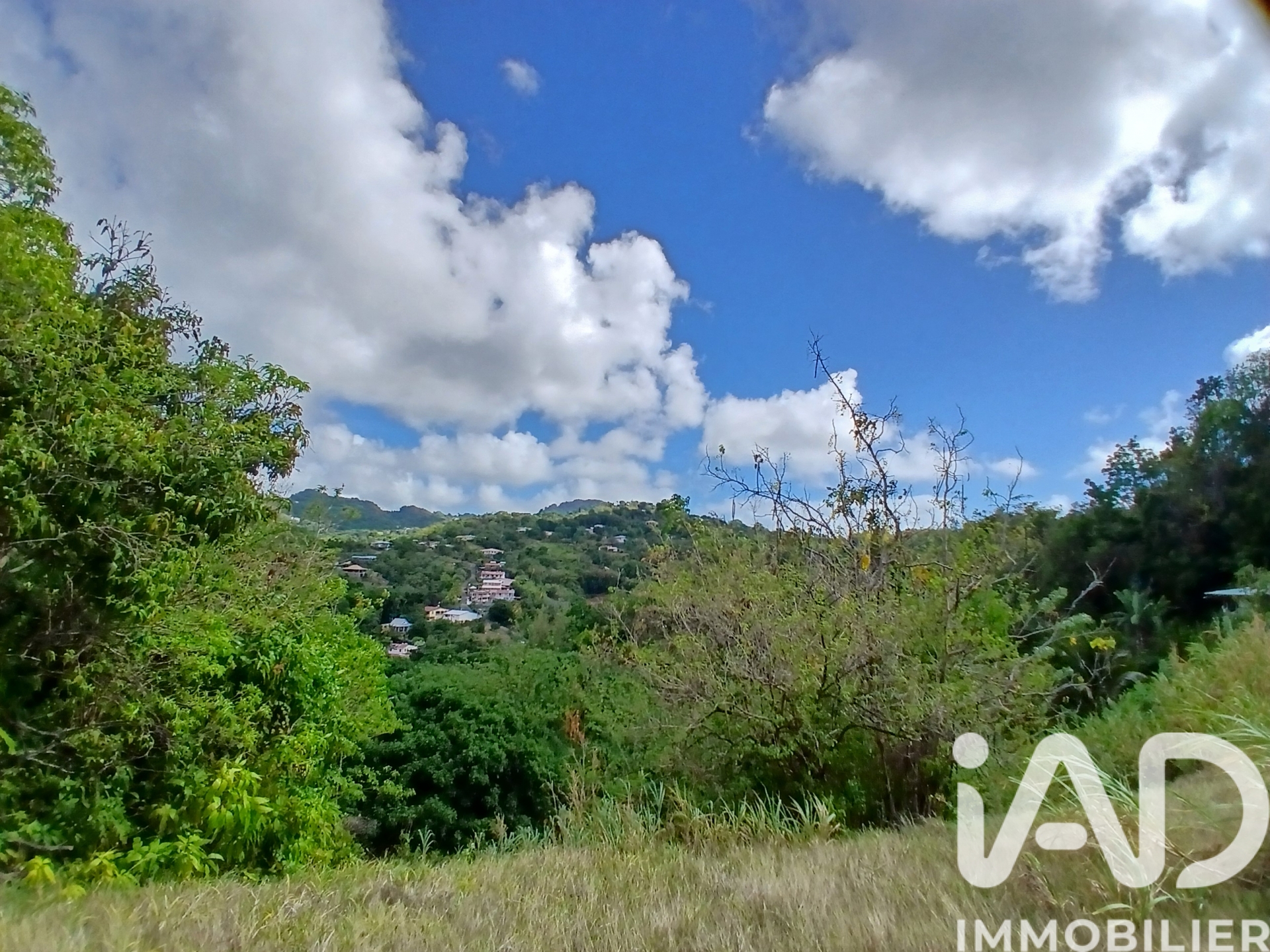 Vente Terrain 11 000 m²