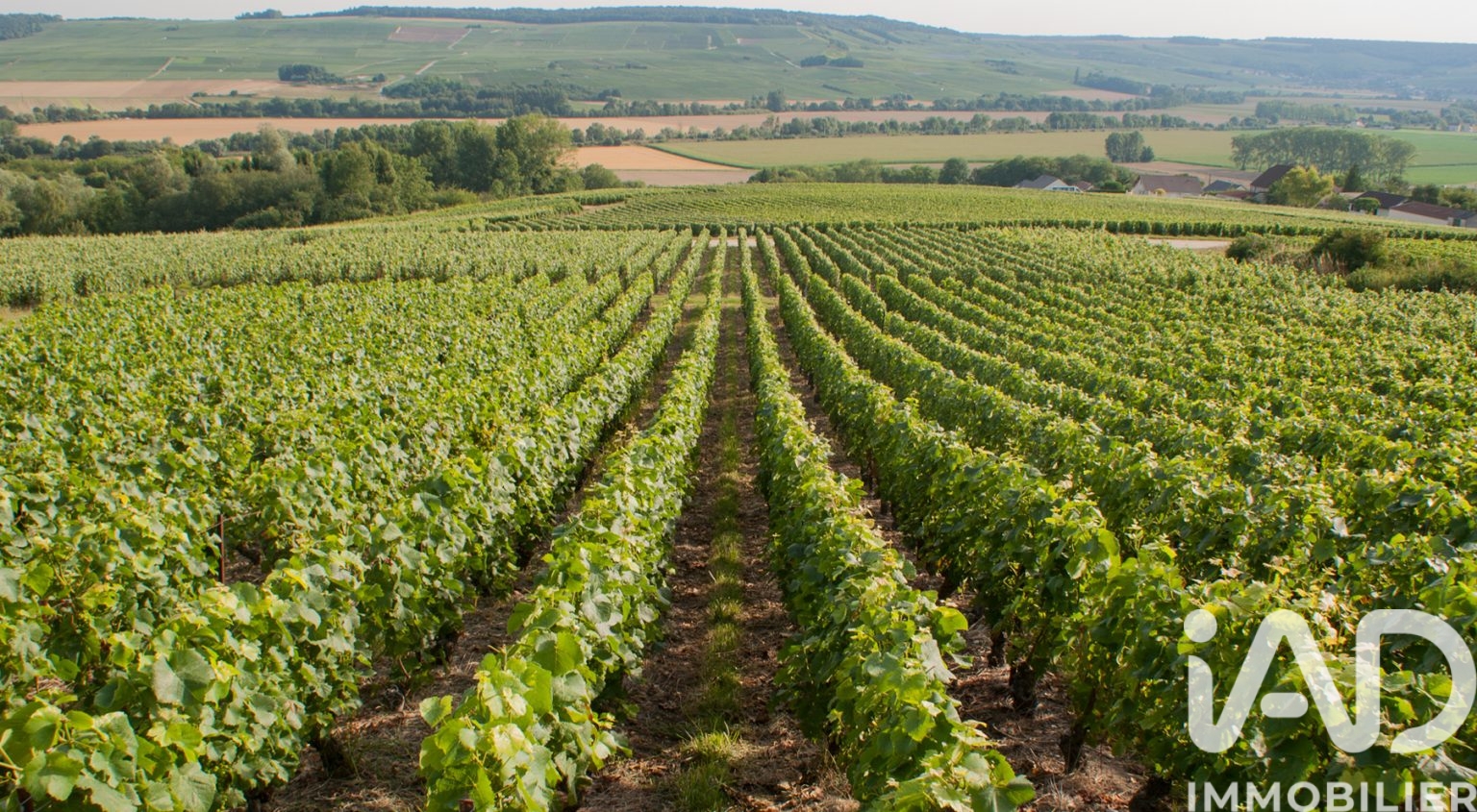 Vente Terrain 5 023 m²