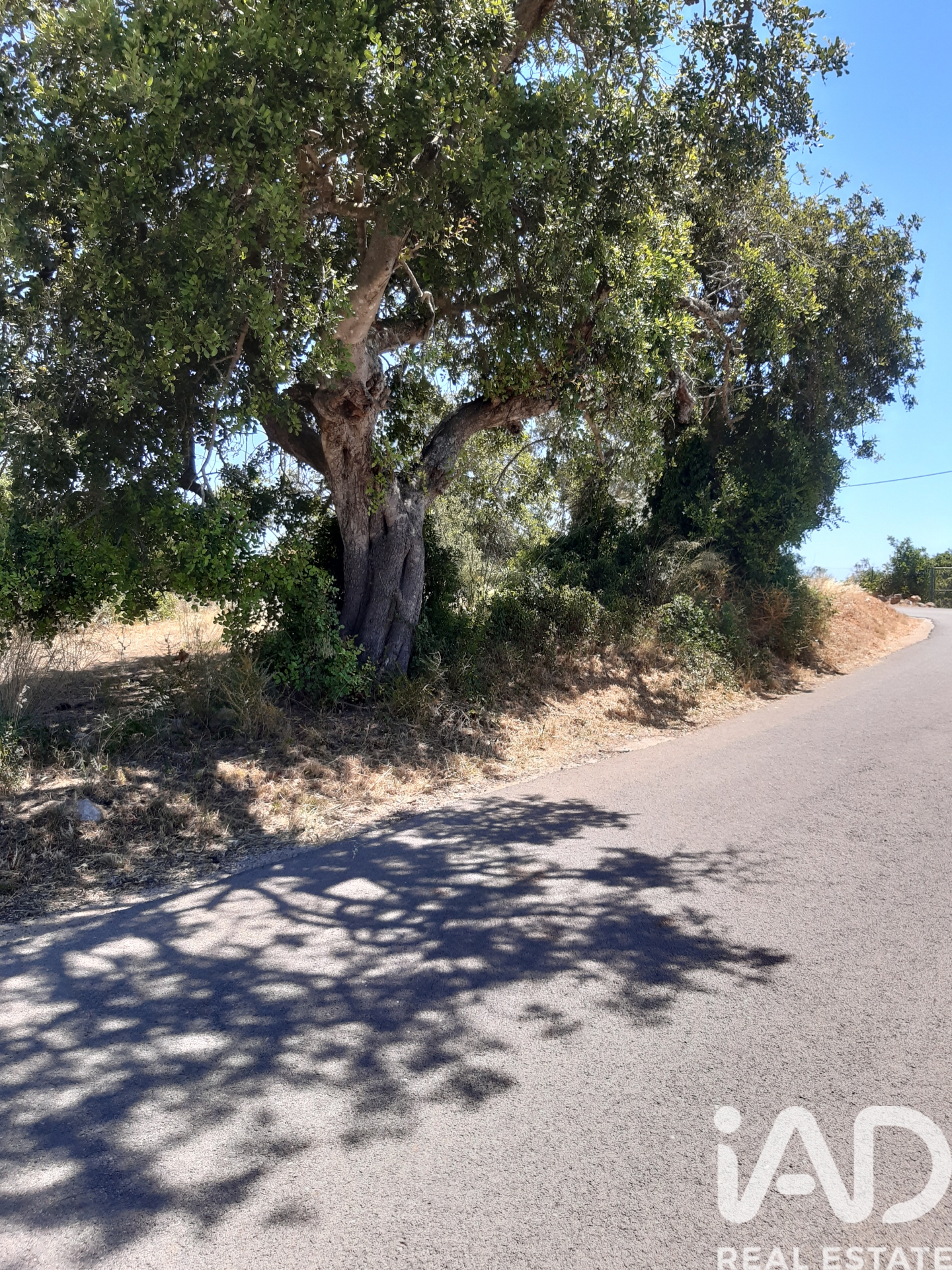 Moradia T0 à venda em Guia, Albufeira — foto 6