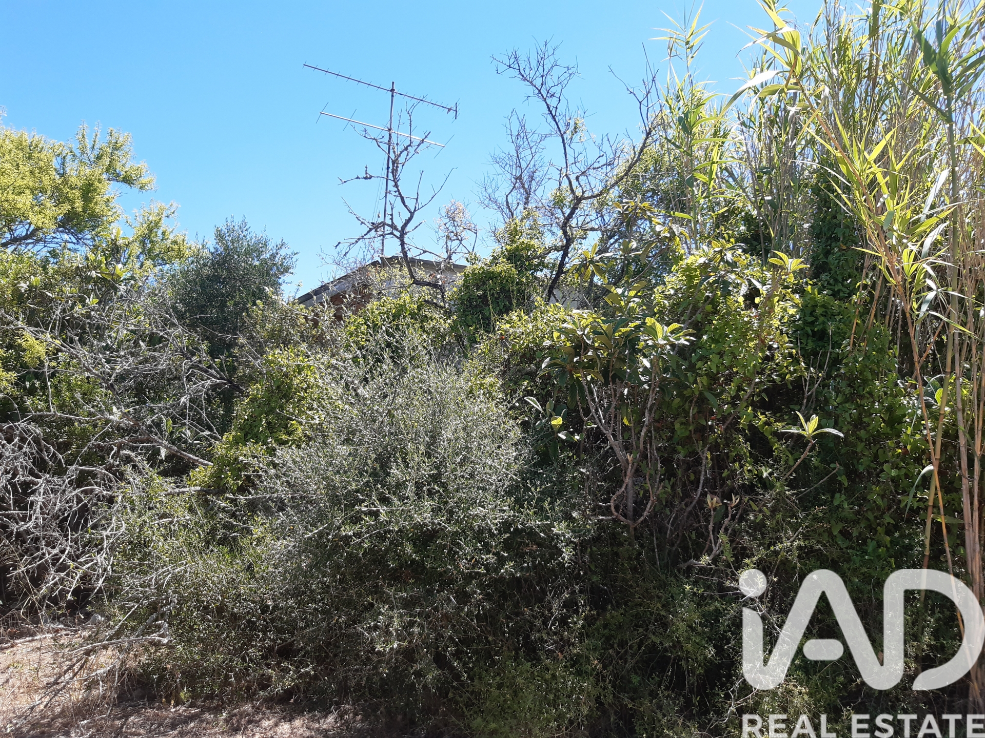 Moradia T0 à venda em Guia, Albufeira — foto 11