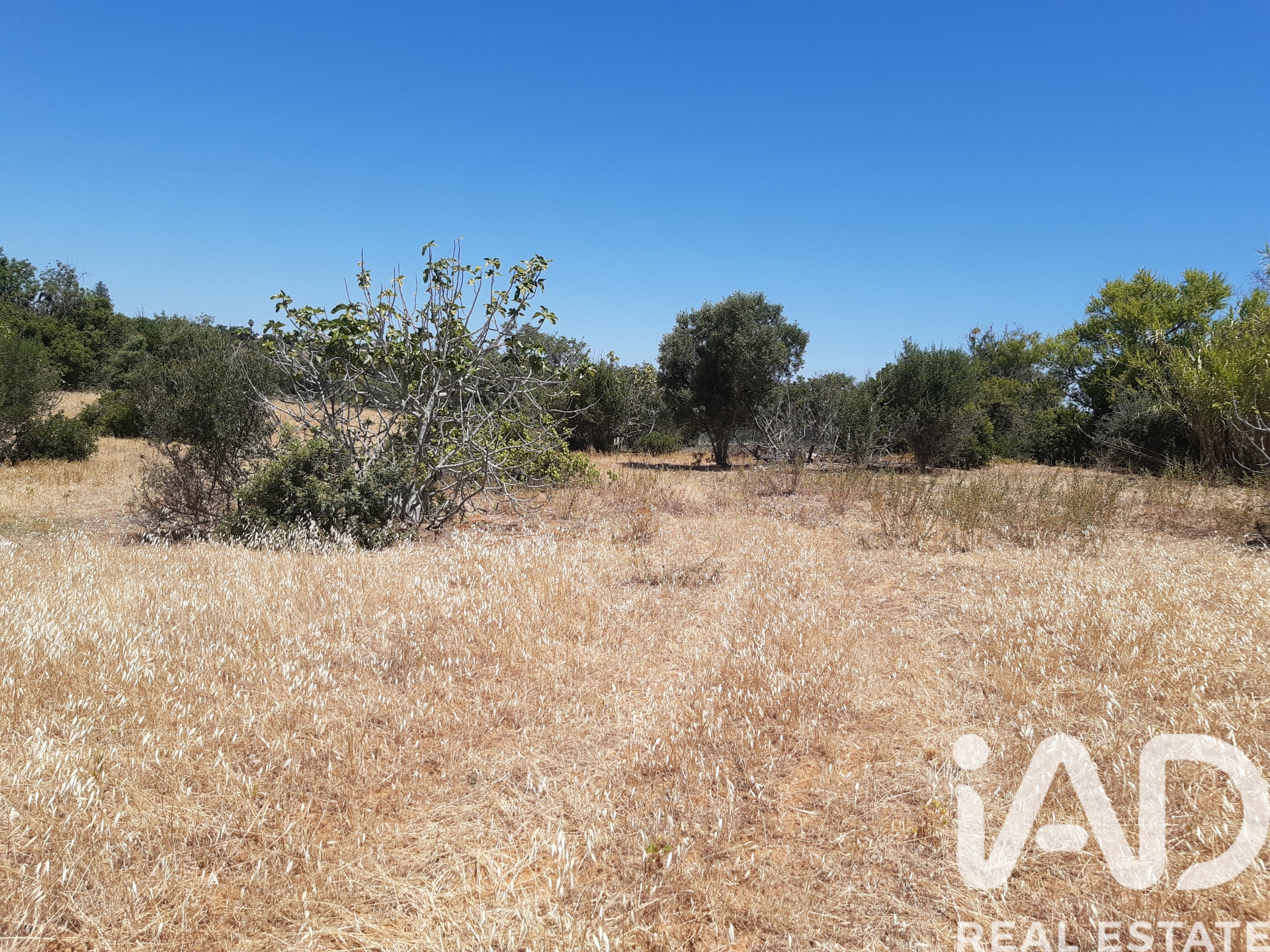 Moradia T0 à venda em Guia, Albufeira — foto 8