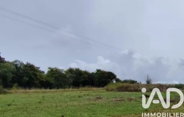 Vente Terrain à bâtir 3 300 m²