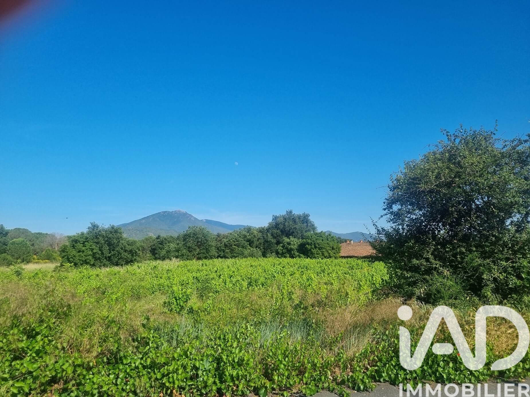Vente Terrain à bâtir 239 m²
