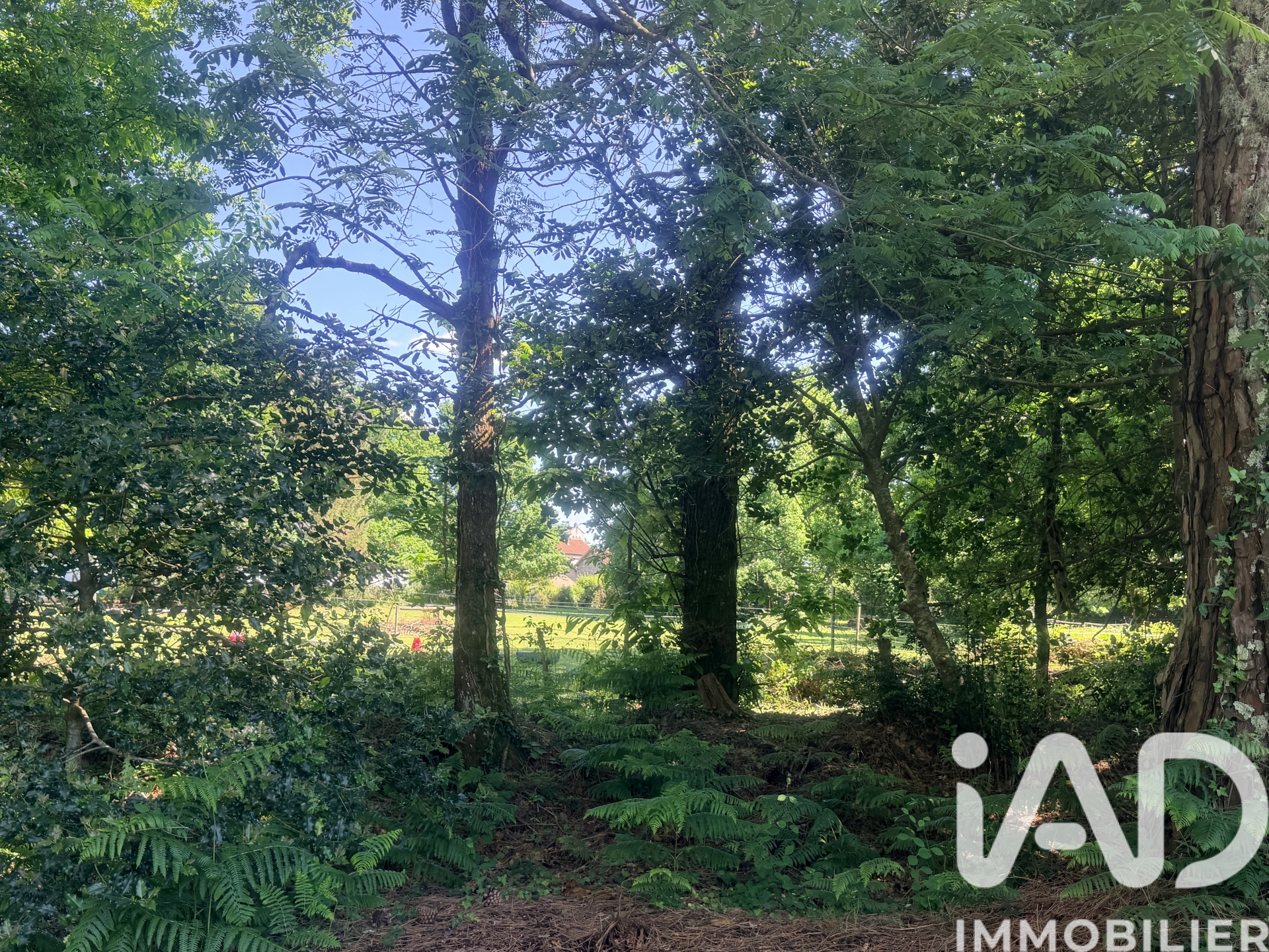 Vente Terrain à bâtir 9 200 m&sup2;