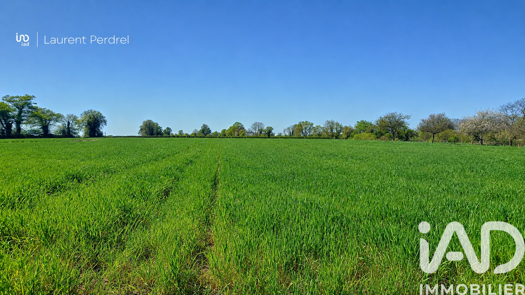 Vente Terrain à bâtir 1 687 m²
