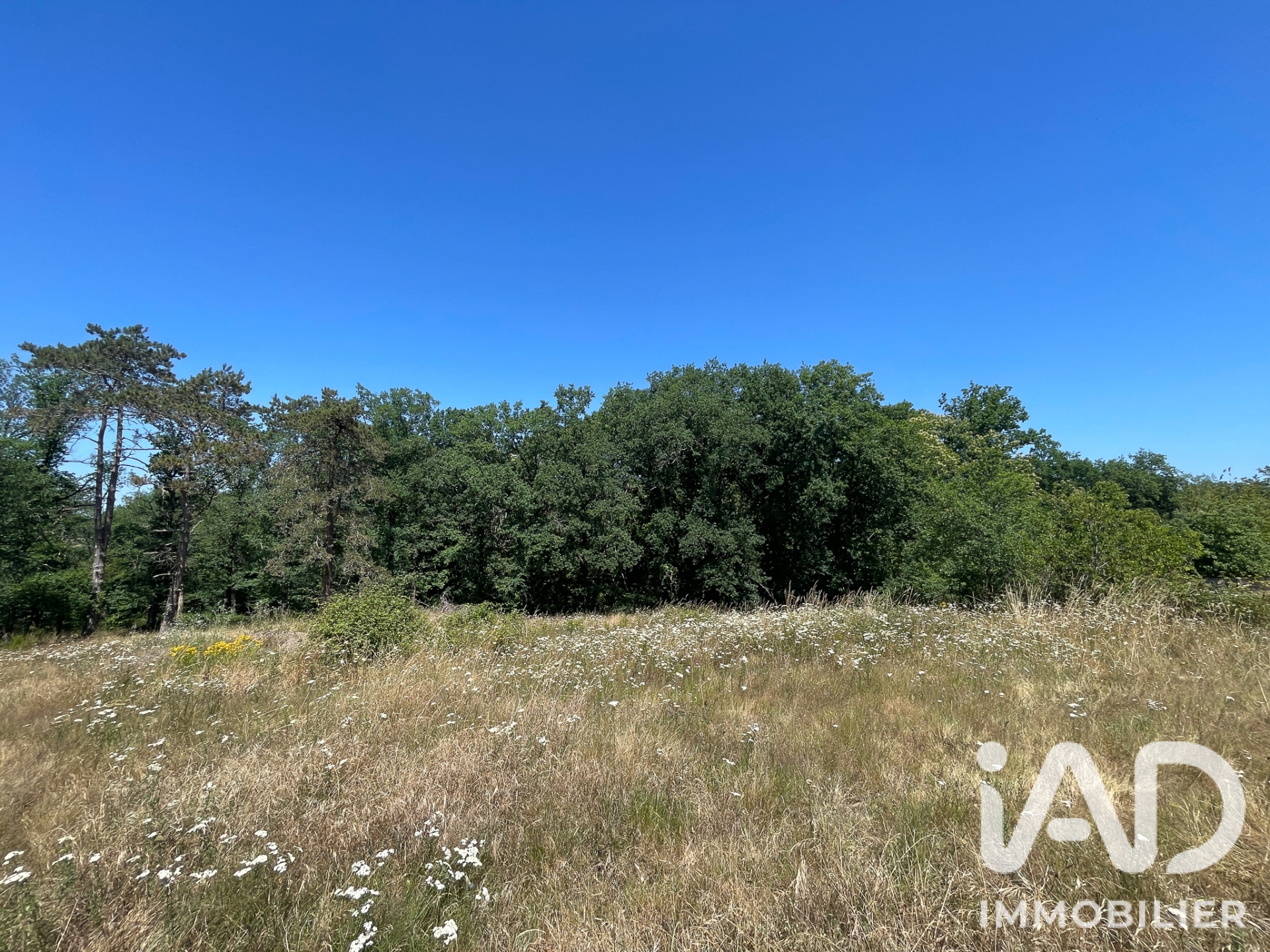 Vente Terrain à bâtir 14 378 m&sup2;