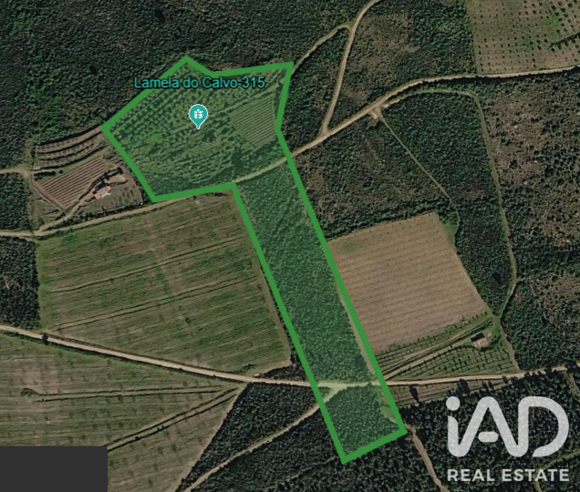 Farmland em Poiares
