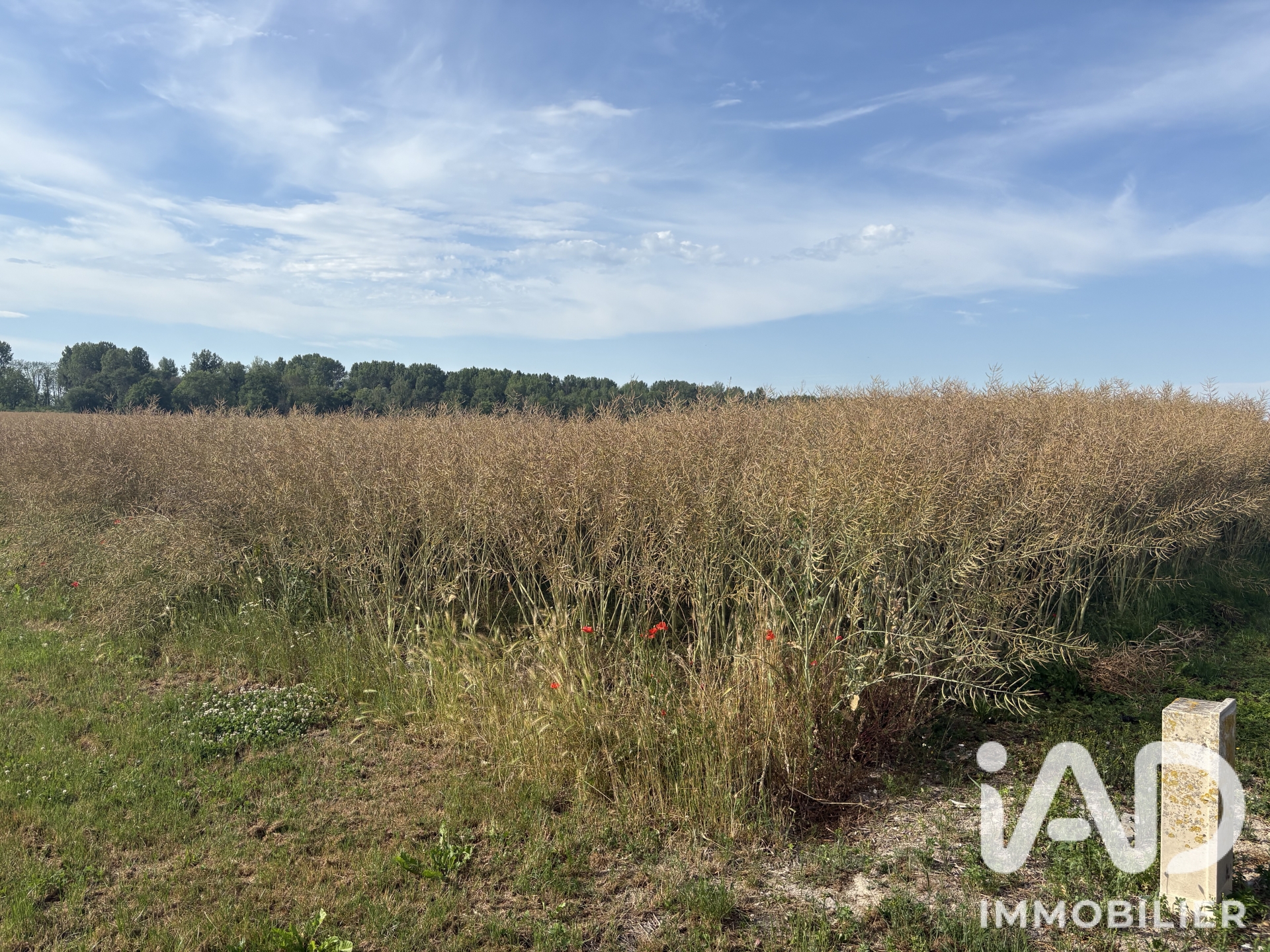 Vente Terrain à bâtir 900 m²