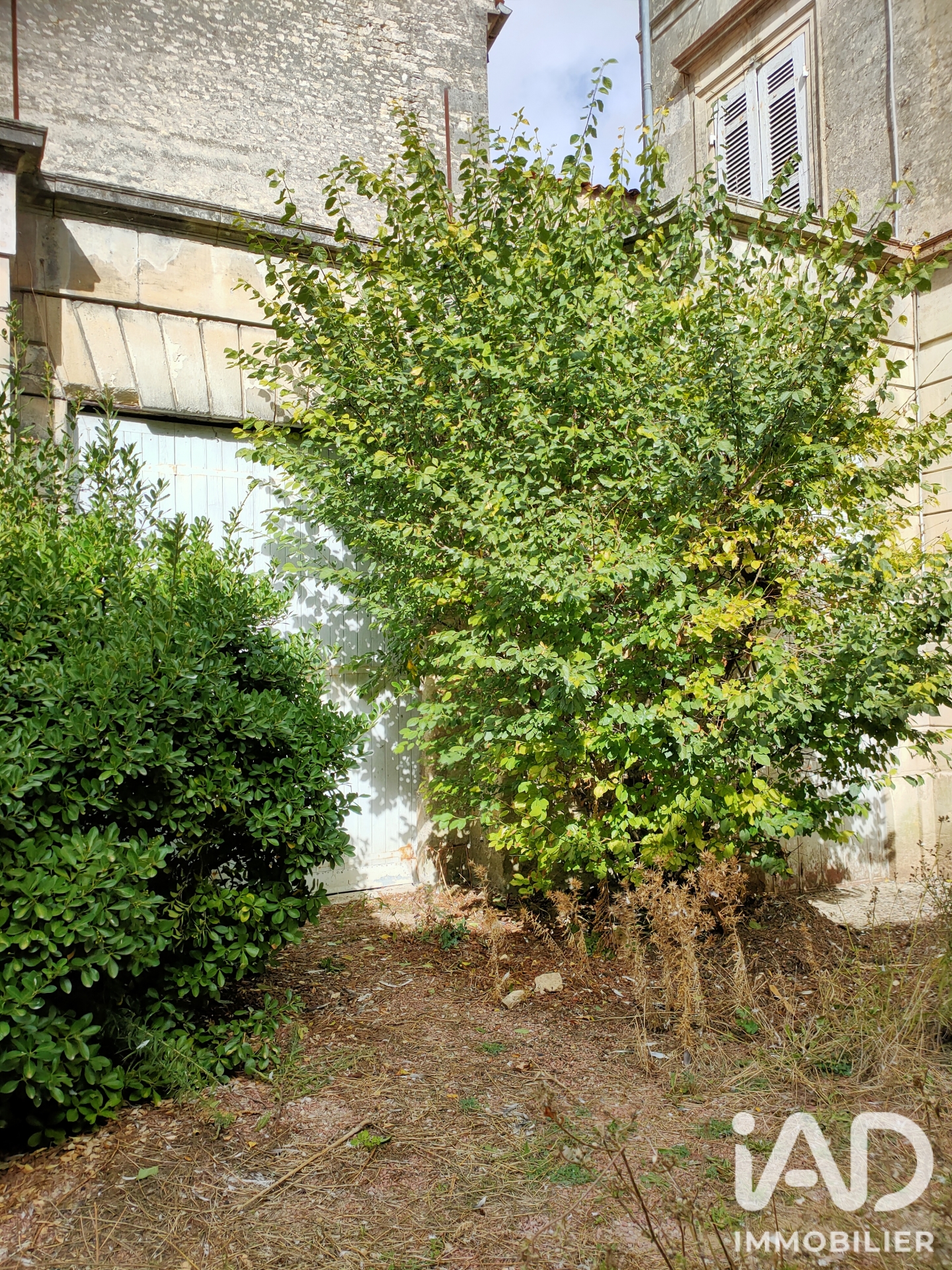Vente maison à Matha (17160) : maison 11 pièces 439 m² - 2053783 — 4