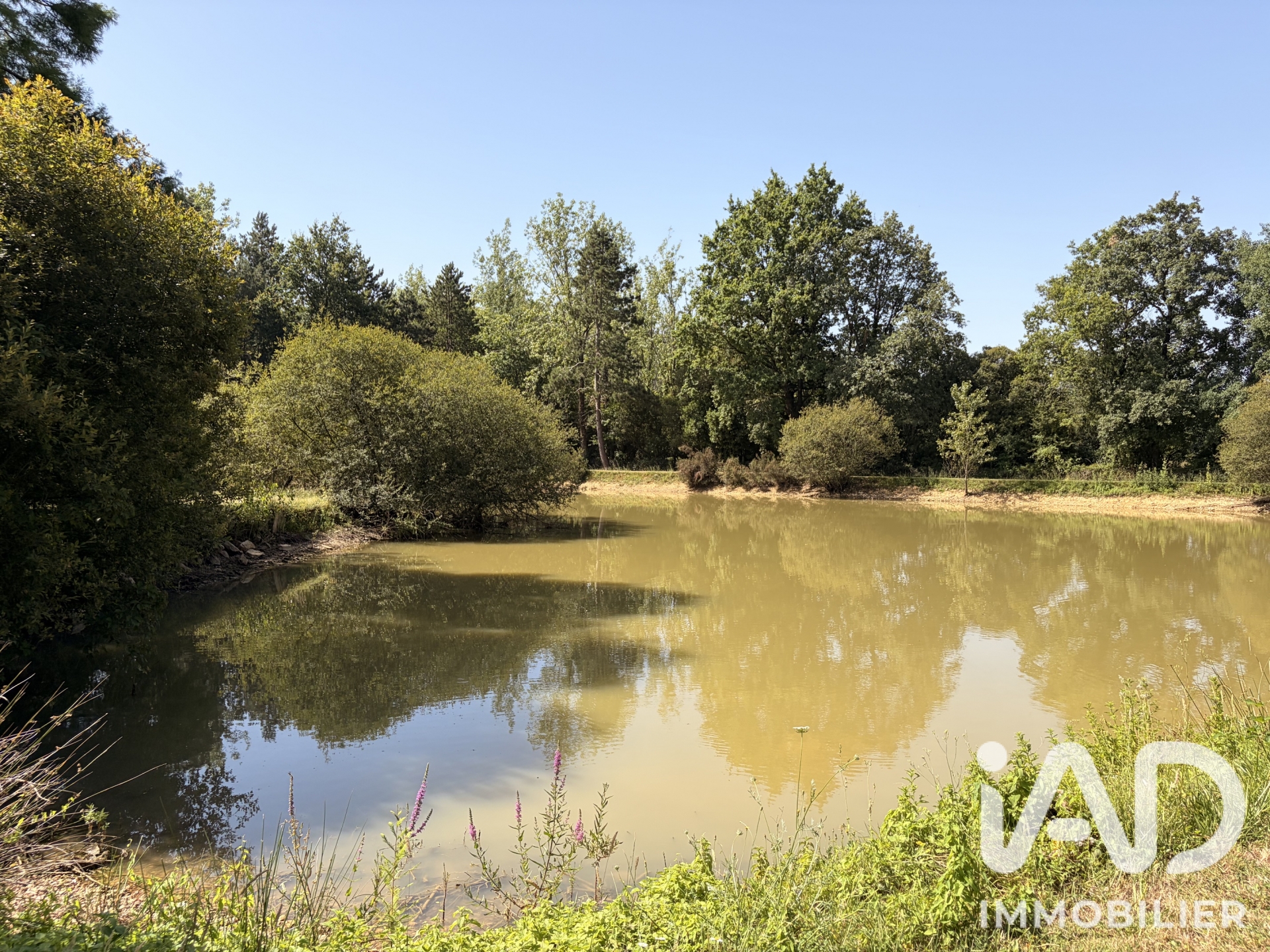 Vente maison à Grosbreuil (85440) : demeure 6 pièces 145 m² - 2058092 — 26