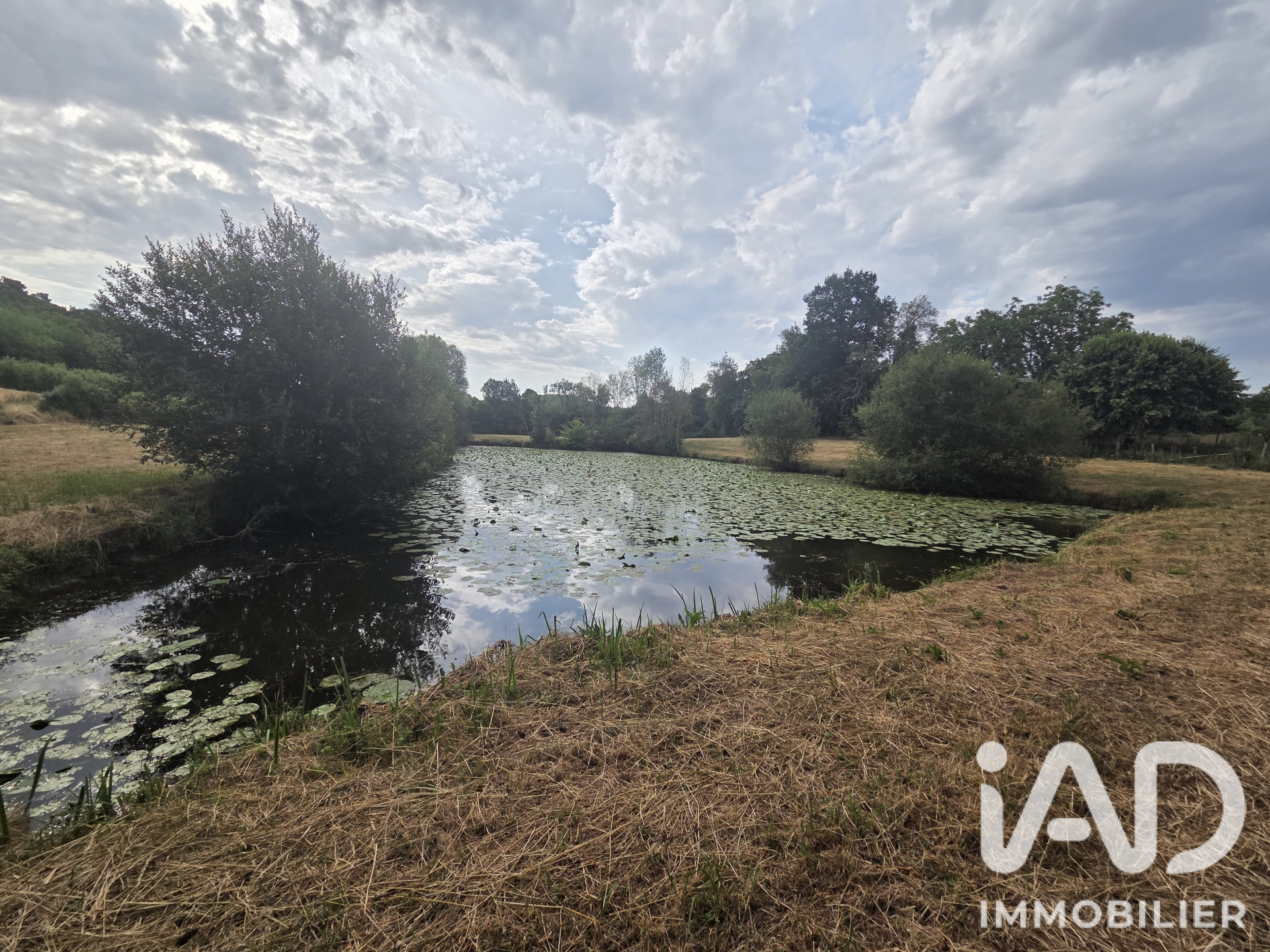 Vente Terrain 12 710 m²