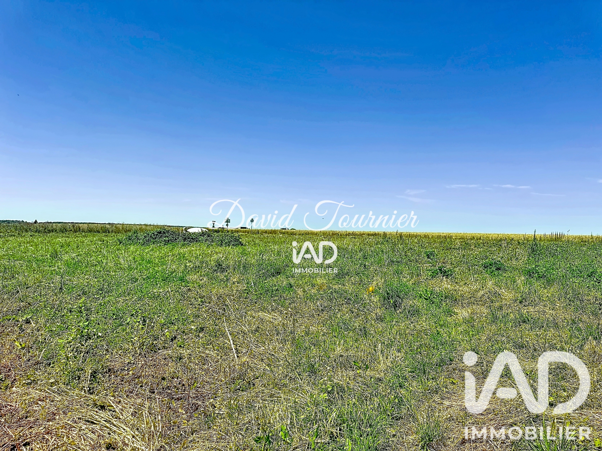 Vente Terrain à bâtir 1 279 m²