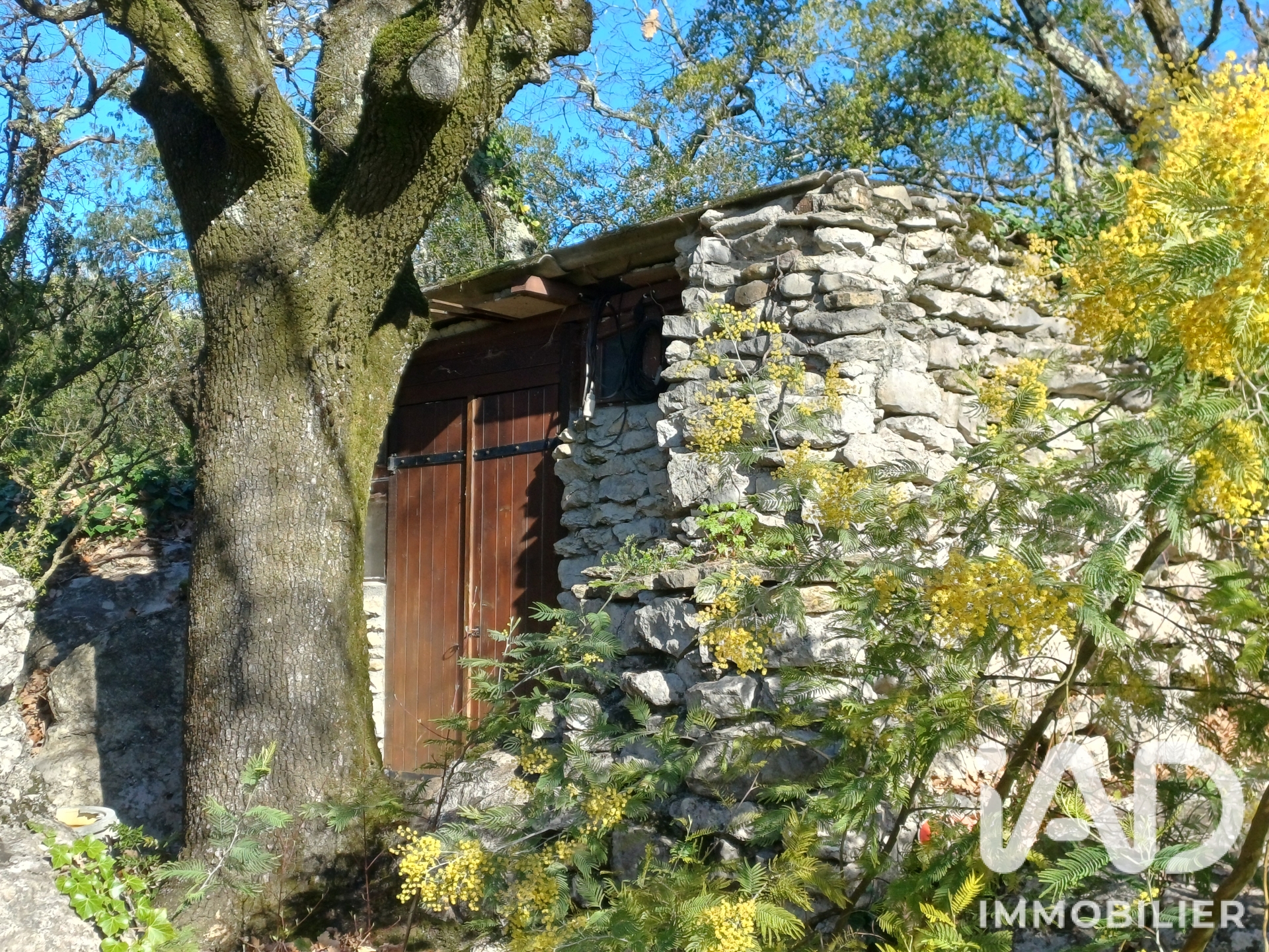 Vente maison à Vogüé (07200) : maison de campagne 7 pièces 158 m² - 2109349 — 17