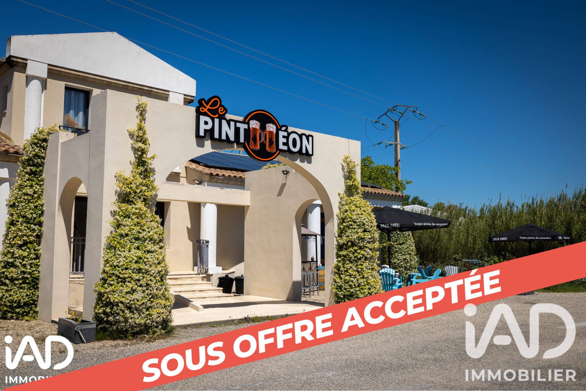 Vente Local commercial 290 m²