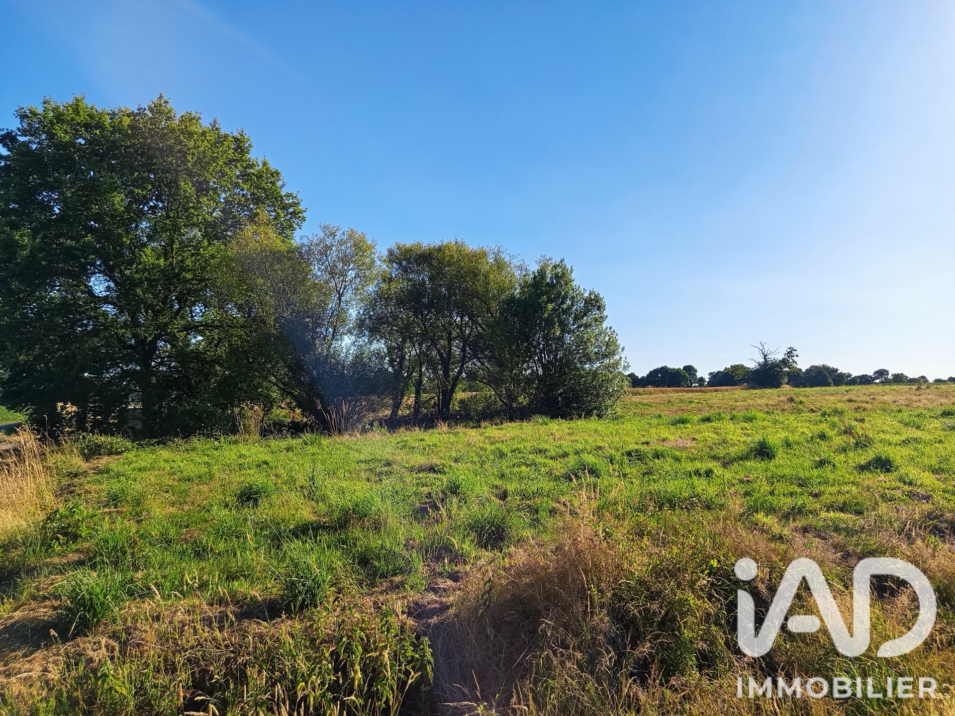 Vente Terrain 731 m²