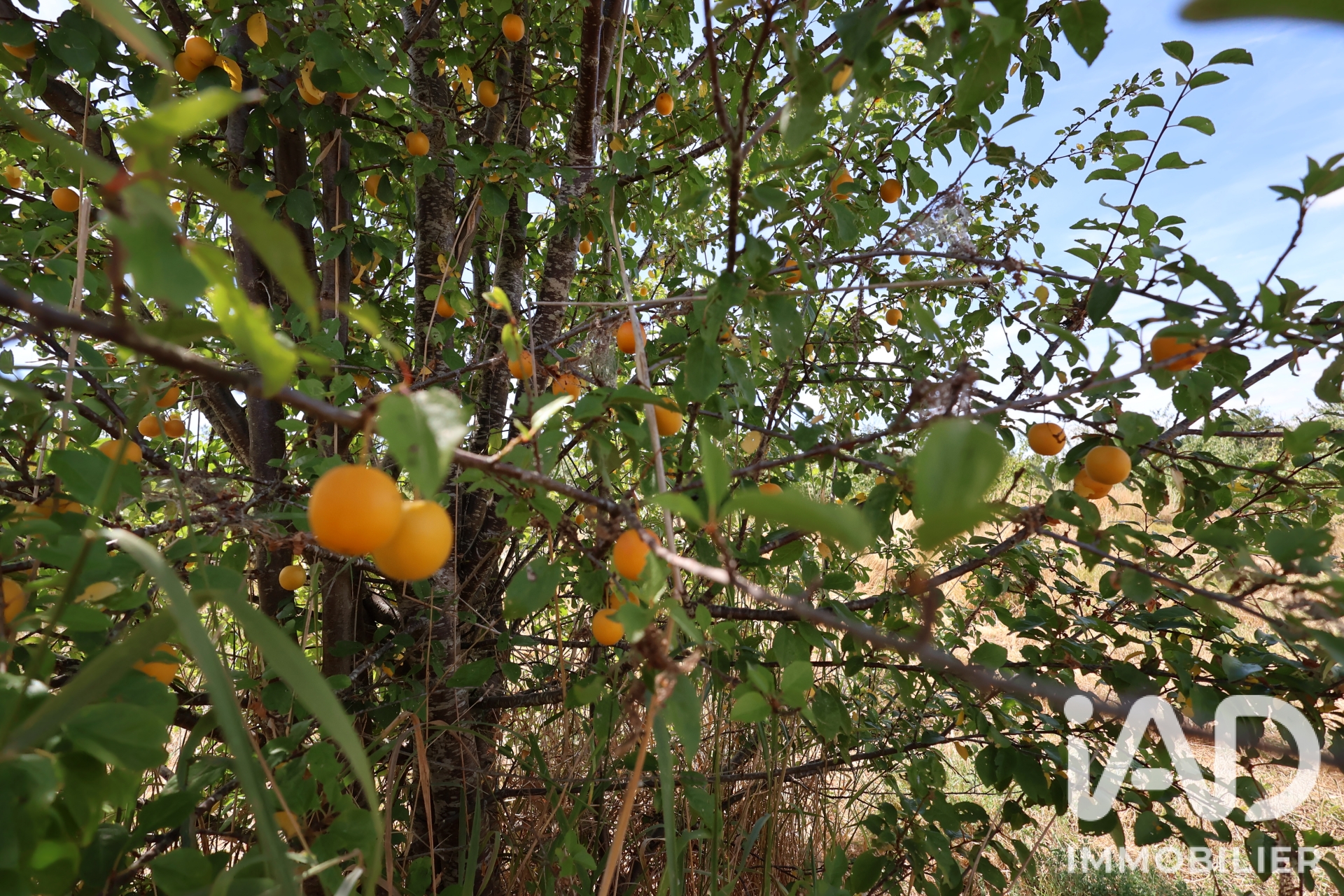 Vente maison à Val en Vignes (79290) : maison de campagne 2 pièces 75 m² - 2058601 — 11