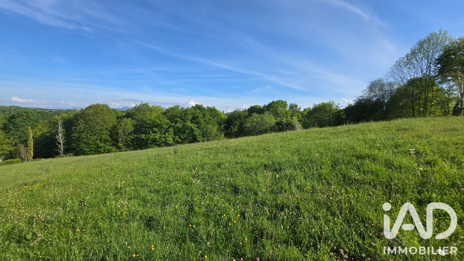 Vente Terrain à bâtir 3 841 m²