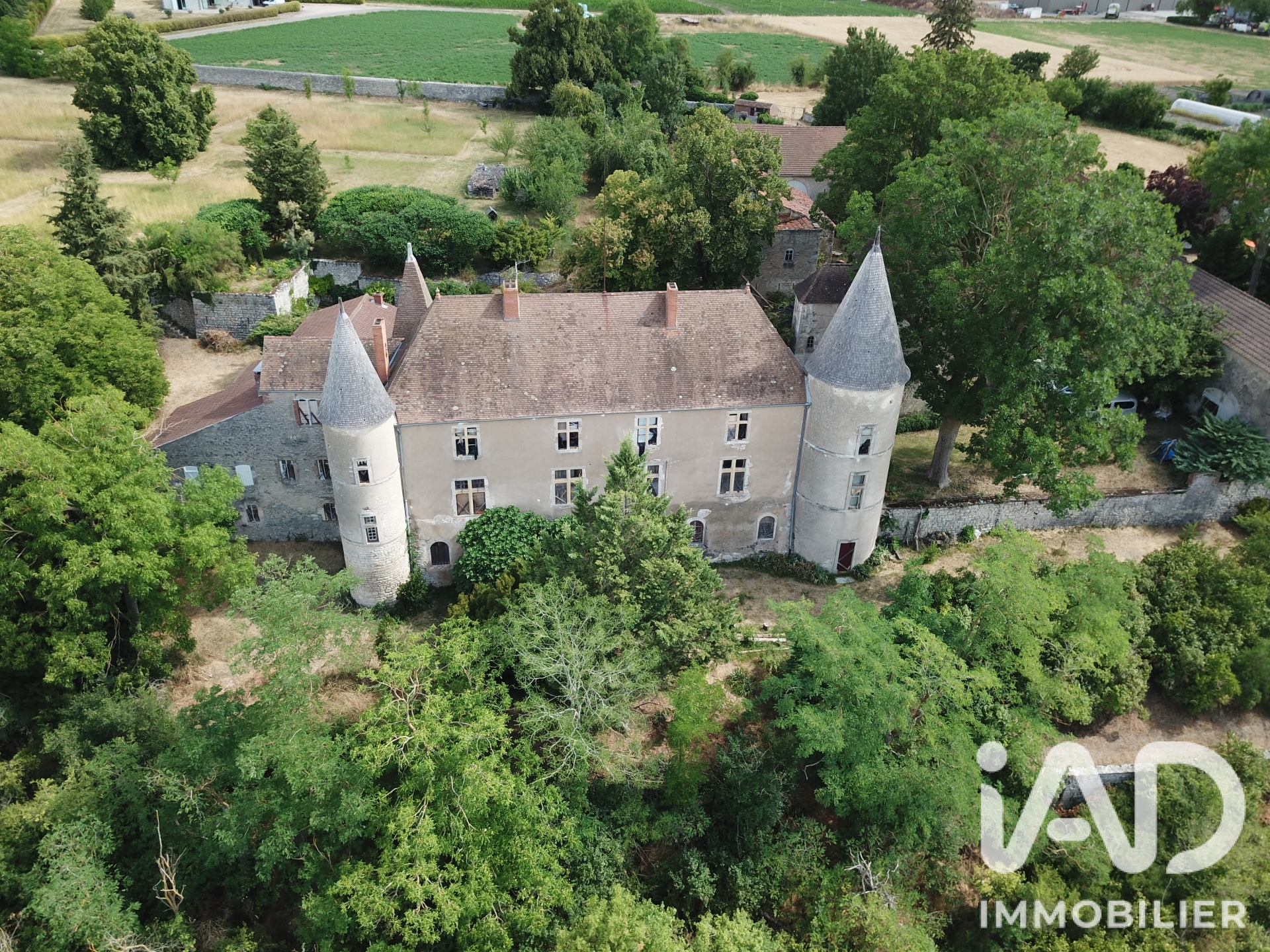 Vente Château 14 pièces