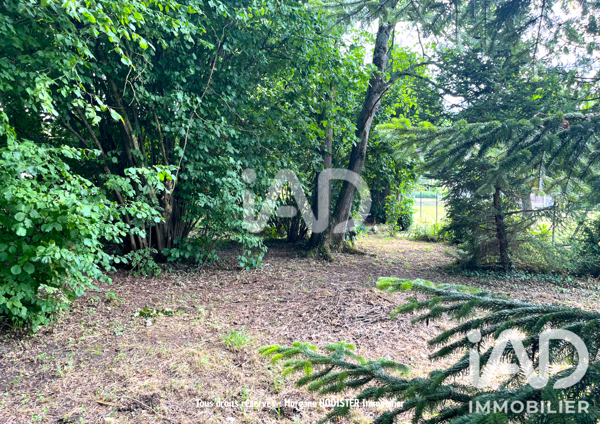 Vente maison à Dom-le-Mesnil (08160) : maison 6 pièces 211 m² - 2059936 — 19