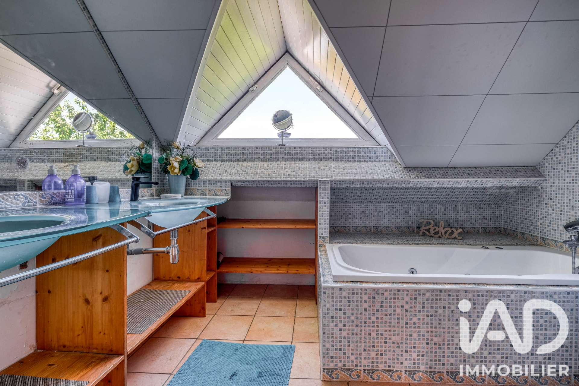 Vente maison à Crécy-la-Chapelle (77580) : maison 10 pièces 225 m² - 2058857 — 16