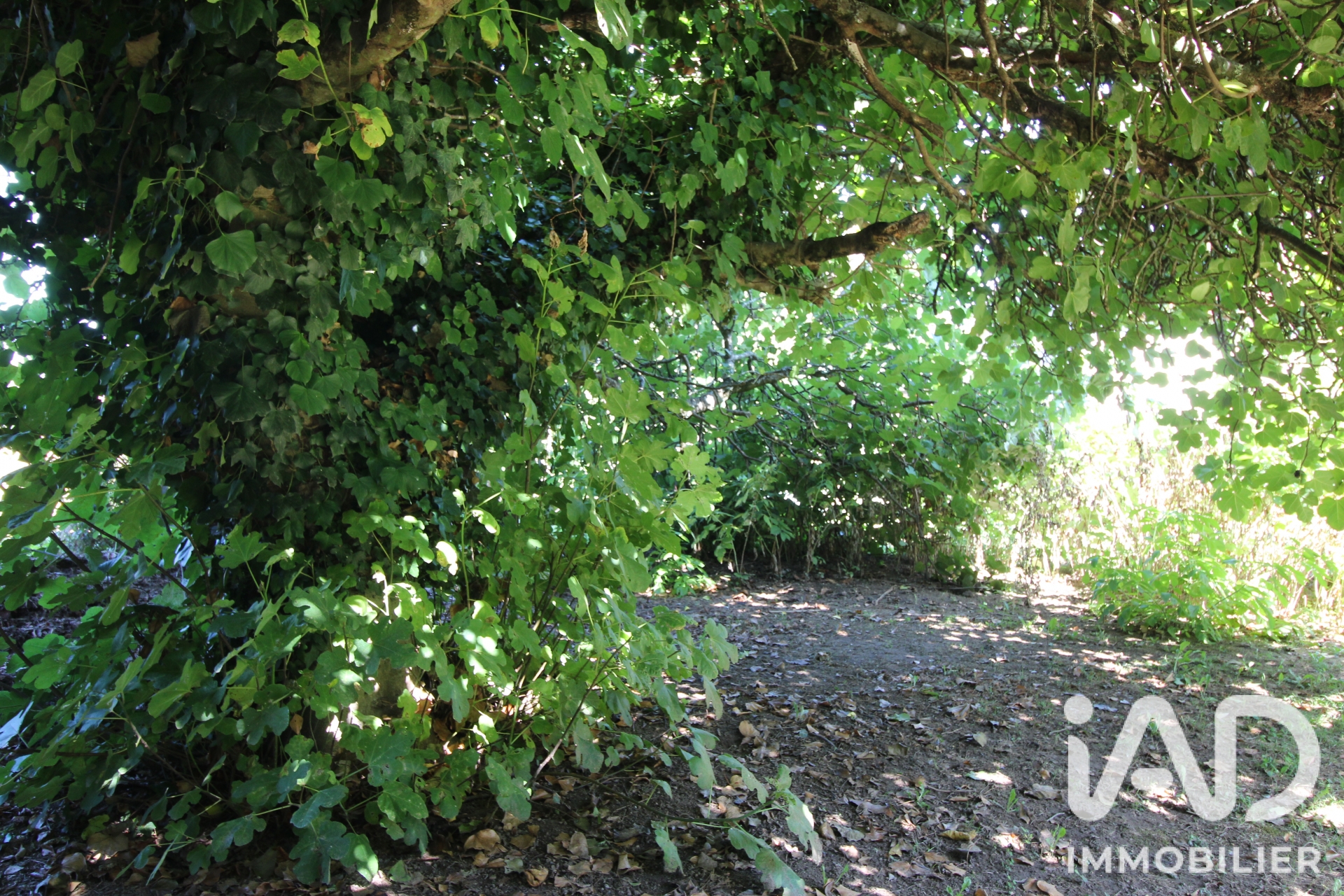 Vente maison à Prigonrieux (24130) : maison traditionnelle 5 pièces 180 m² - 2070490 — 24