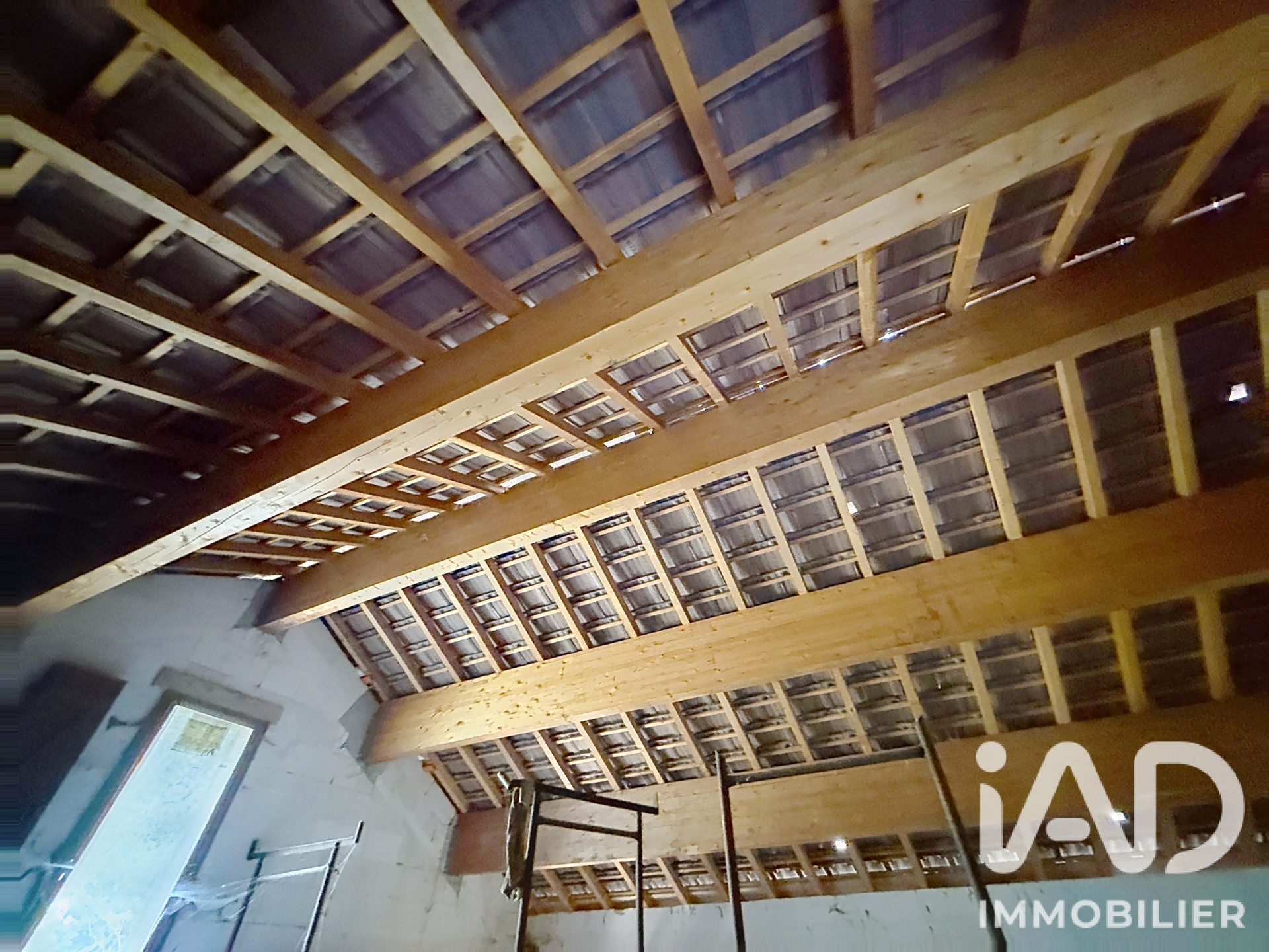 Vente immeuble 172 m² à Saint-Martin-Vésubie (06450) - 2081243 — 10