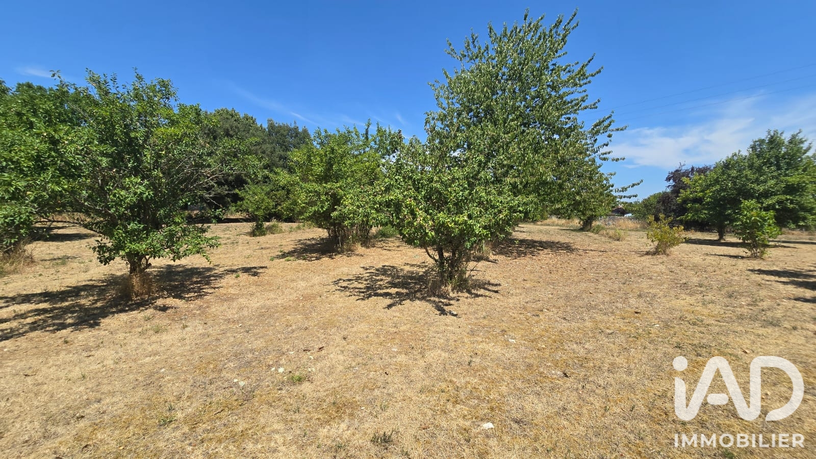 Vente maison à Blanzay (86400) : maison de village 4 pièces 120 m² - 2018490 — 25