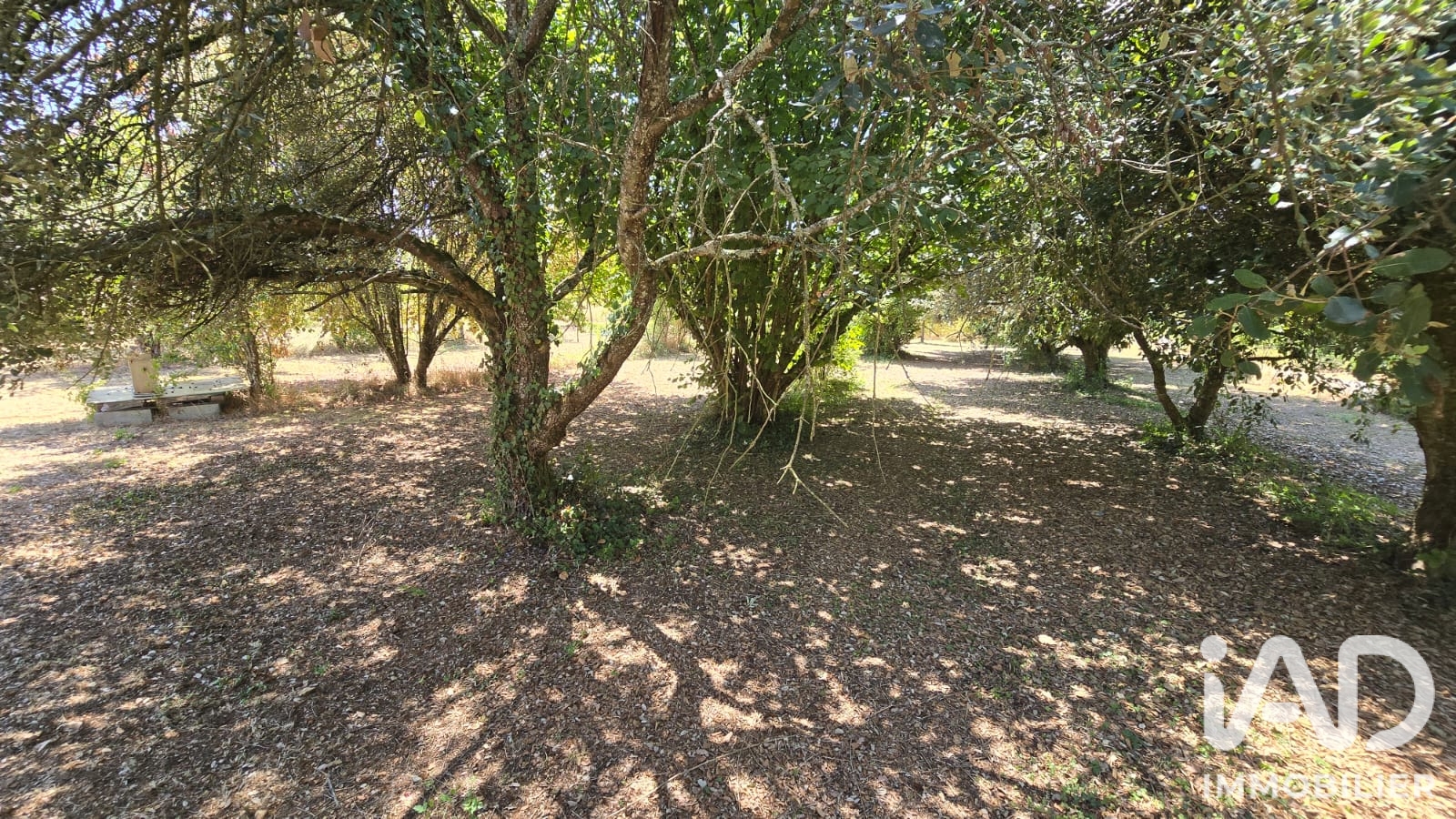 Vente maison à Blanzay (86400) : maison de village 4 pièces 120 m² - 2018490 — 27