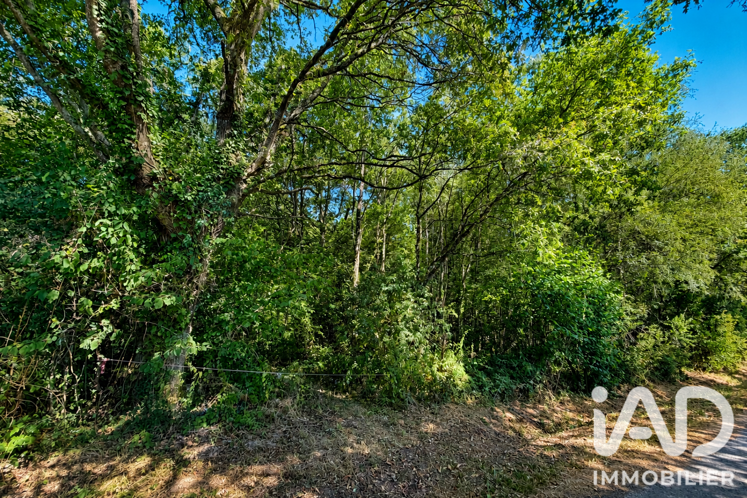 Vente Terrain 29 190 m²