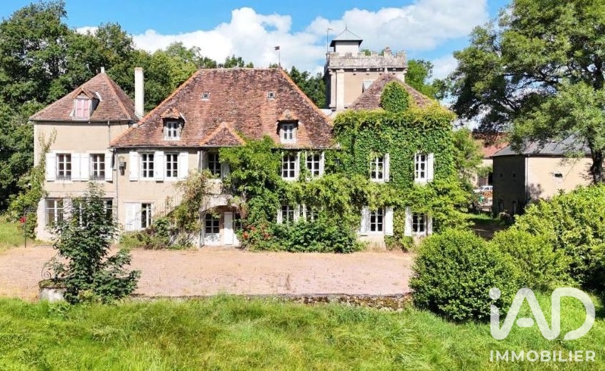 Vente Château 18 pièces