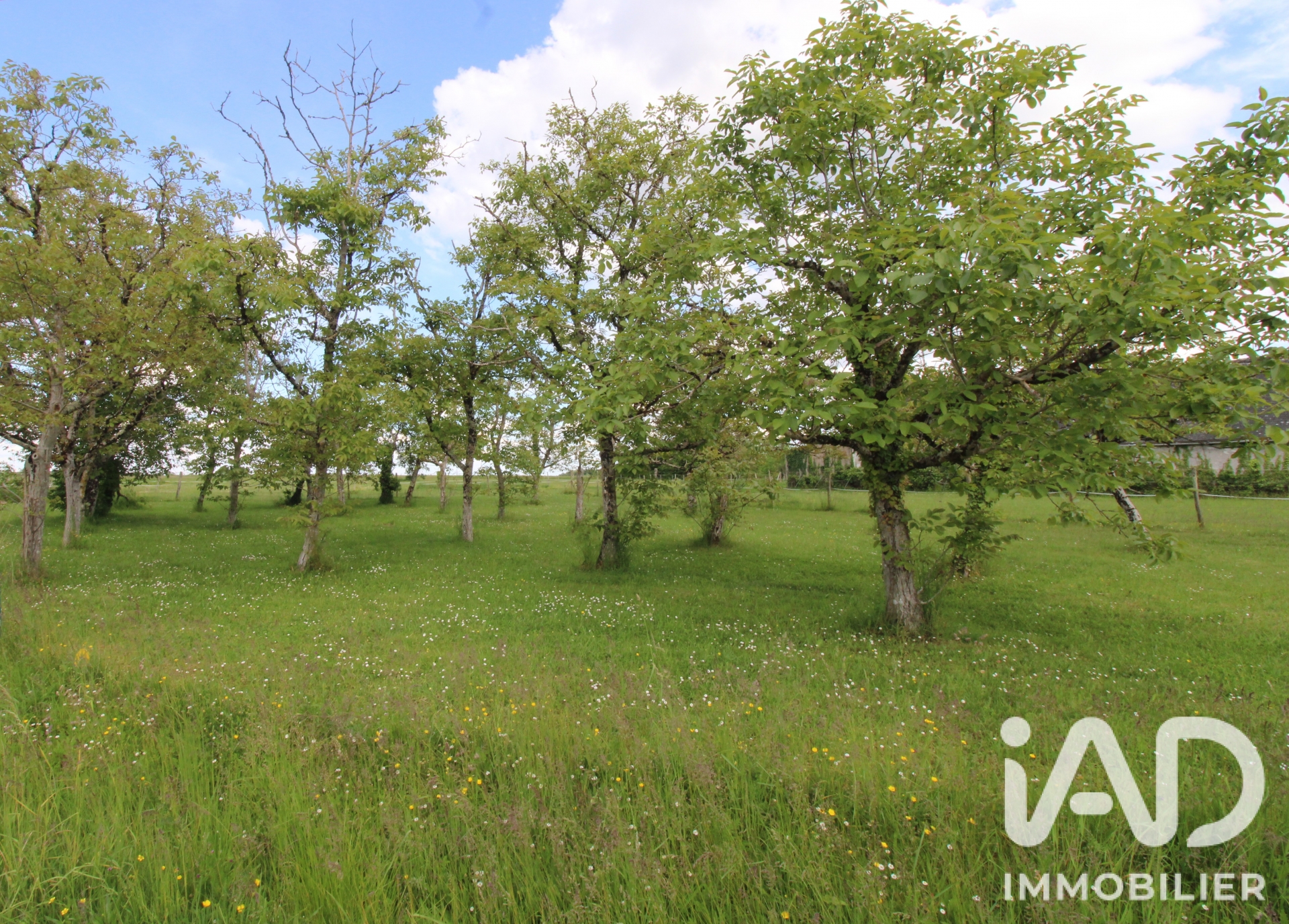 Vente Terrain à bâtir 980 m²