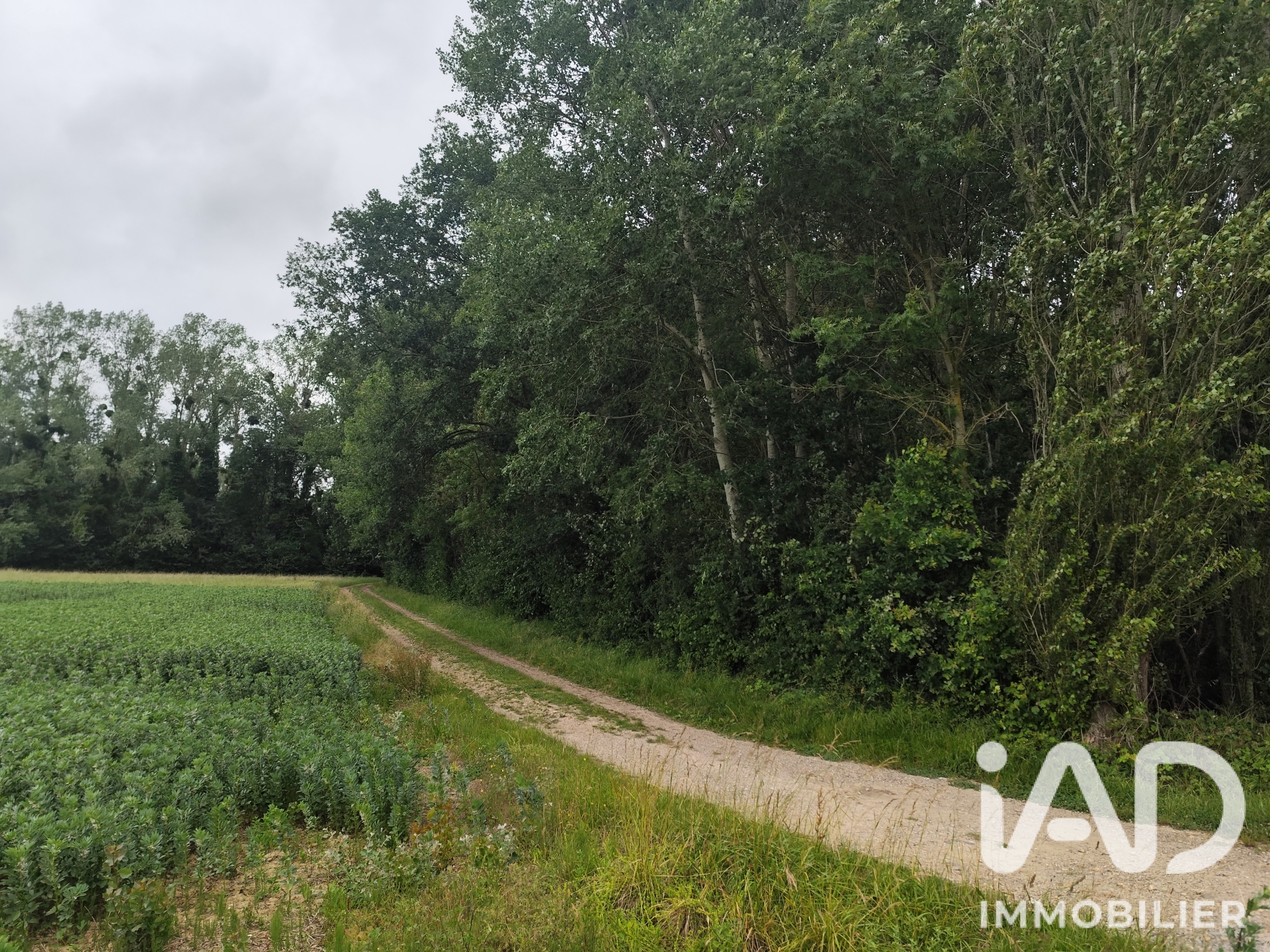 Vente Terrain 2 740 m²