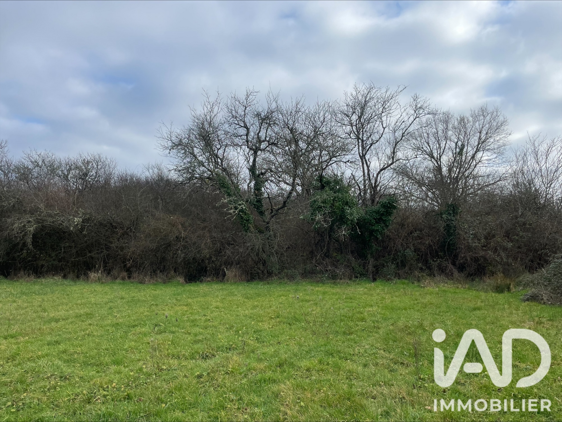Vente Terrain 7 042 m²