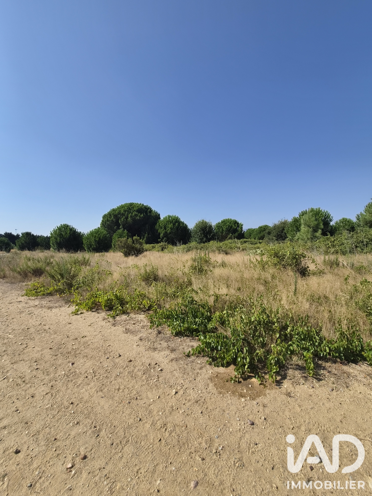Vente Terrain 274 m²