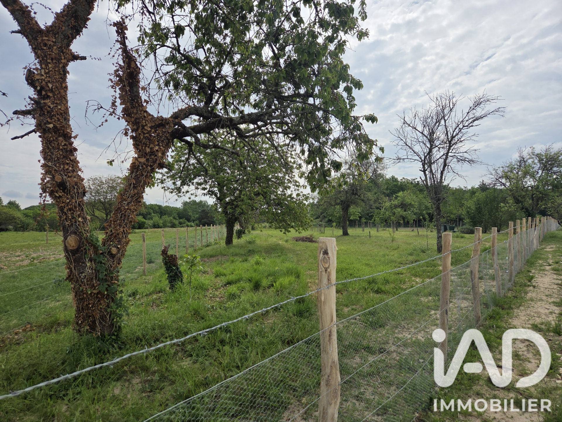 Vente Terrain agricole 2 246 m²